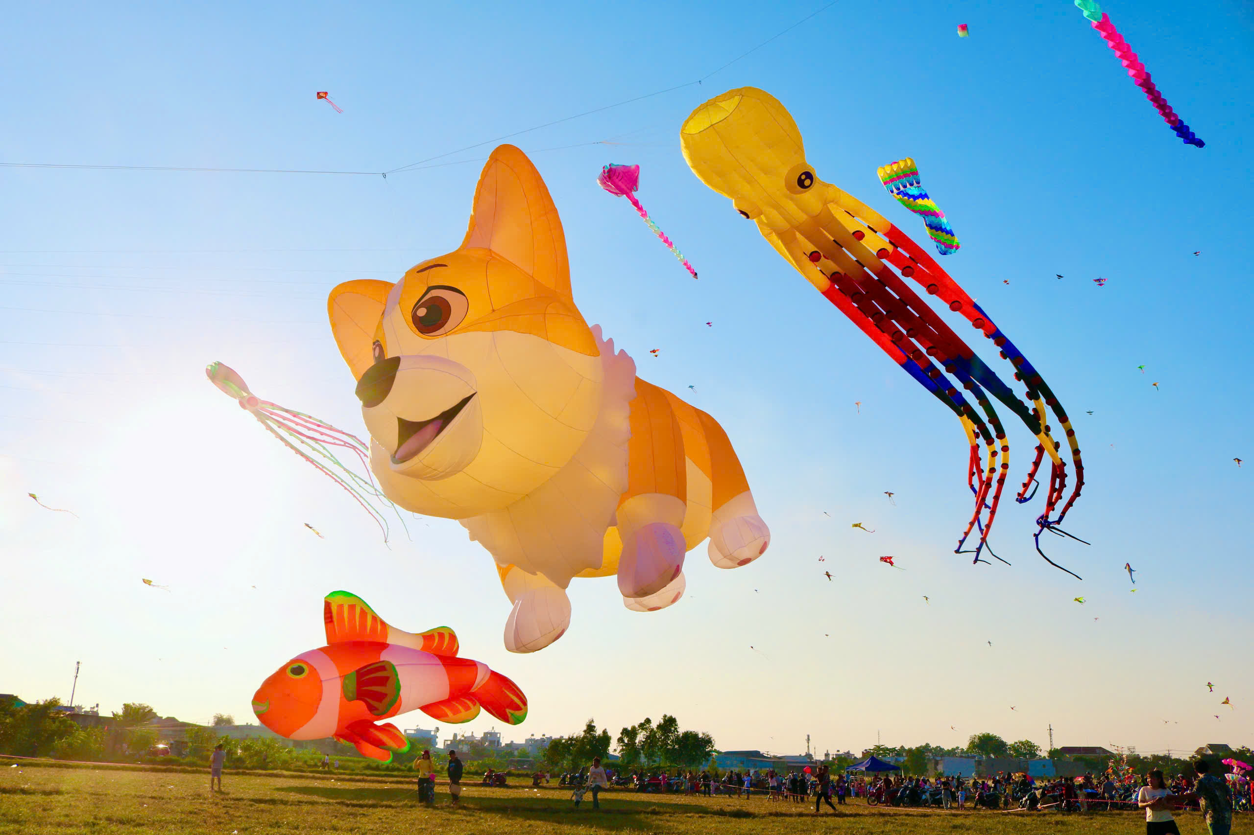 Choáng ngợp với con diều 'khổng lồ' dài 30 m, có giá hơn 40 triệu đồng - Ảnh 2.