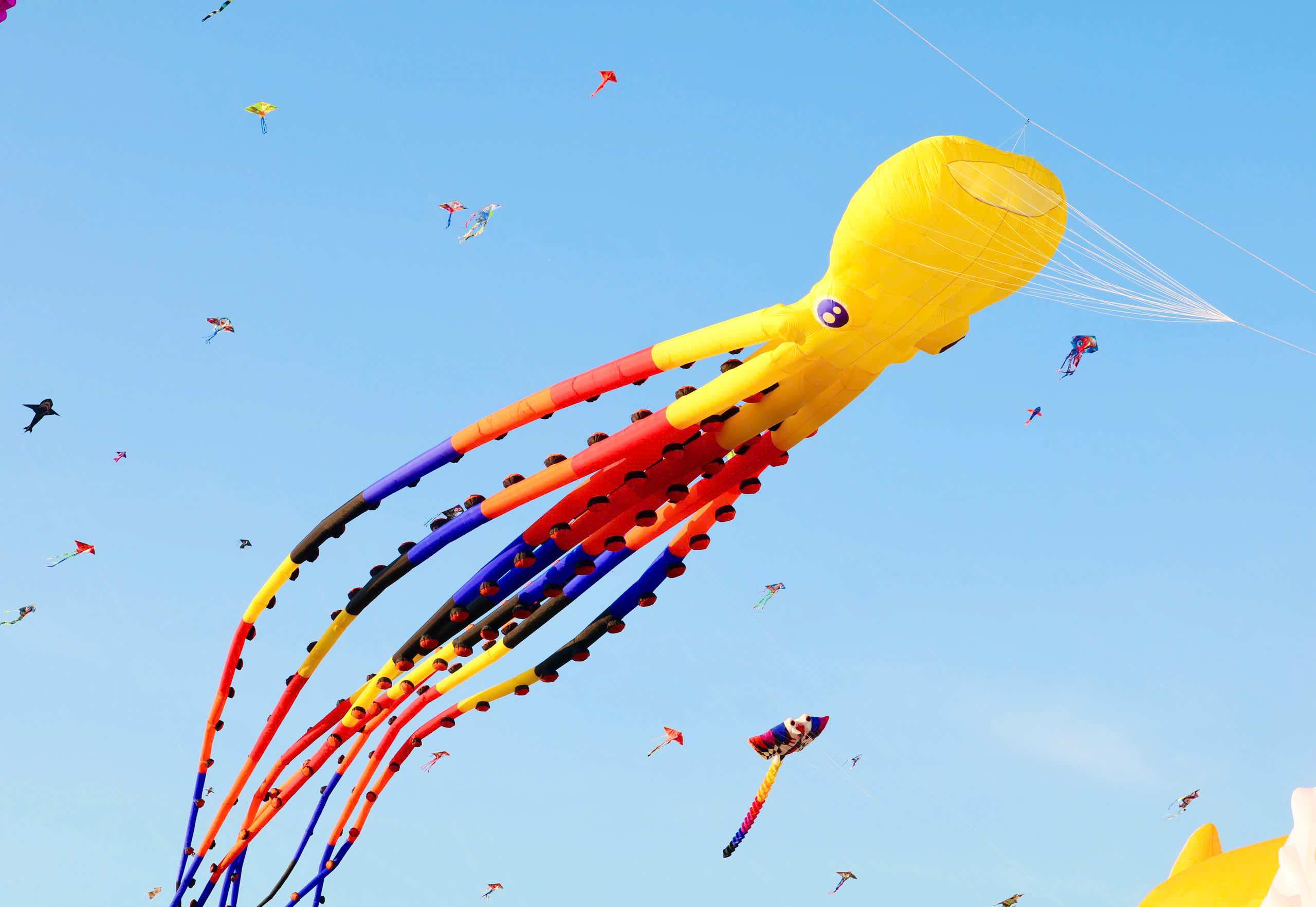 Choáng ngợp với con diều 'khổng lồ' dài 30 m, có giá hơn 40 triệu đồng - Ảnh 10.