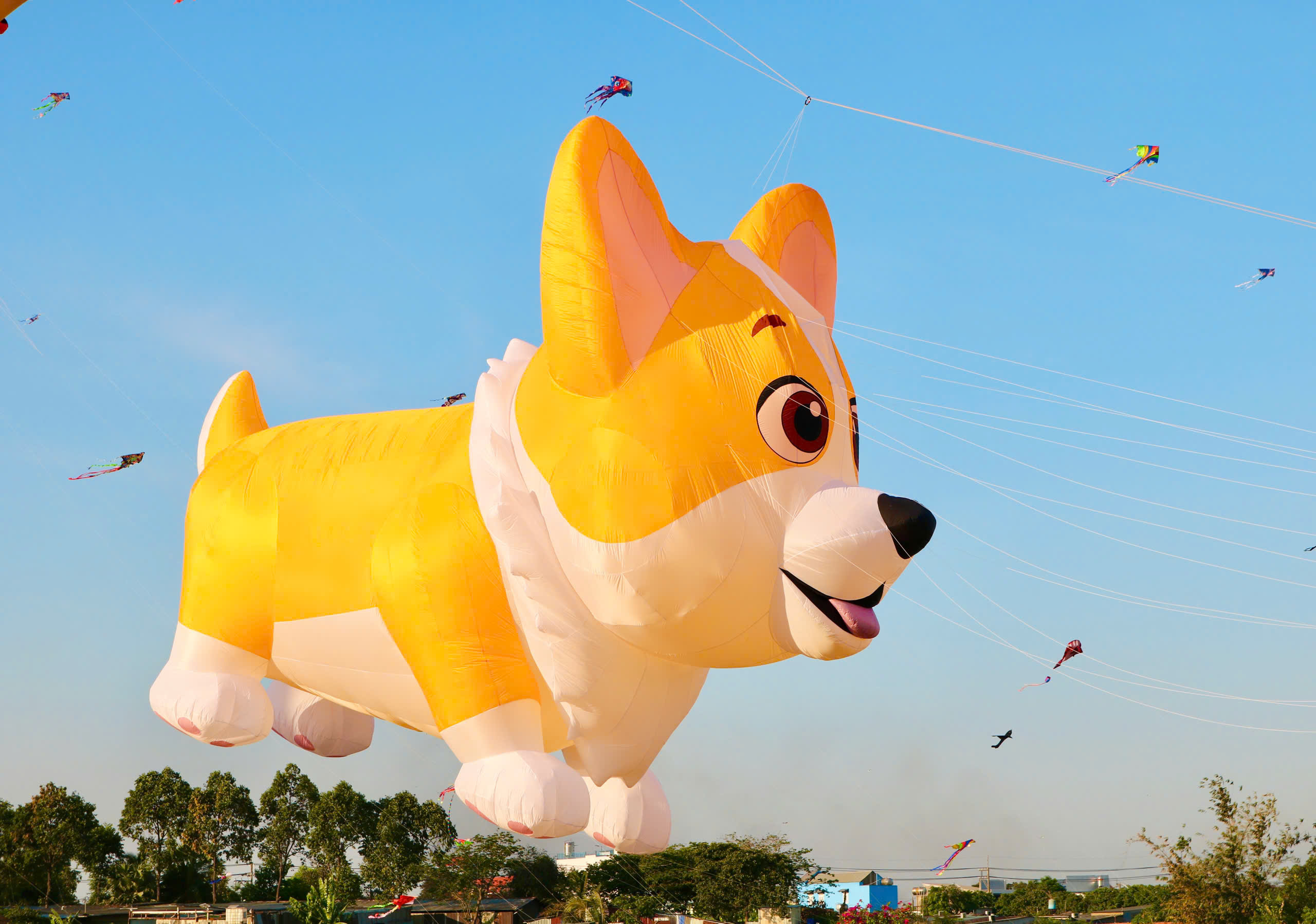 Choáng ngợp với con diều 'khổng lồ' dài 30 m, có giá hơn 40 triệu đồng - Ảnh 9.