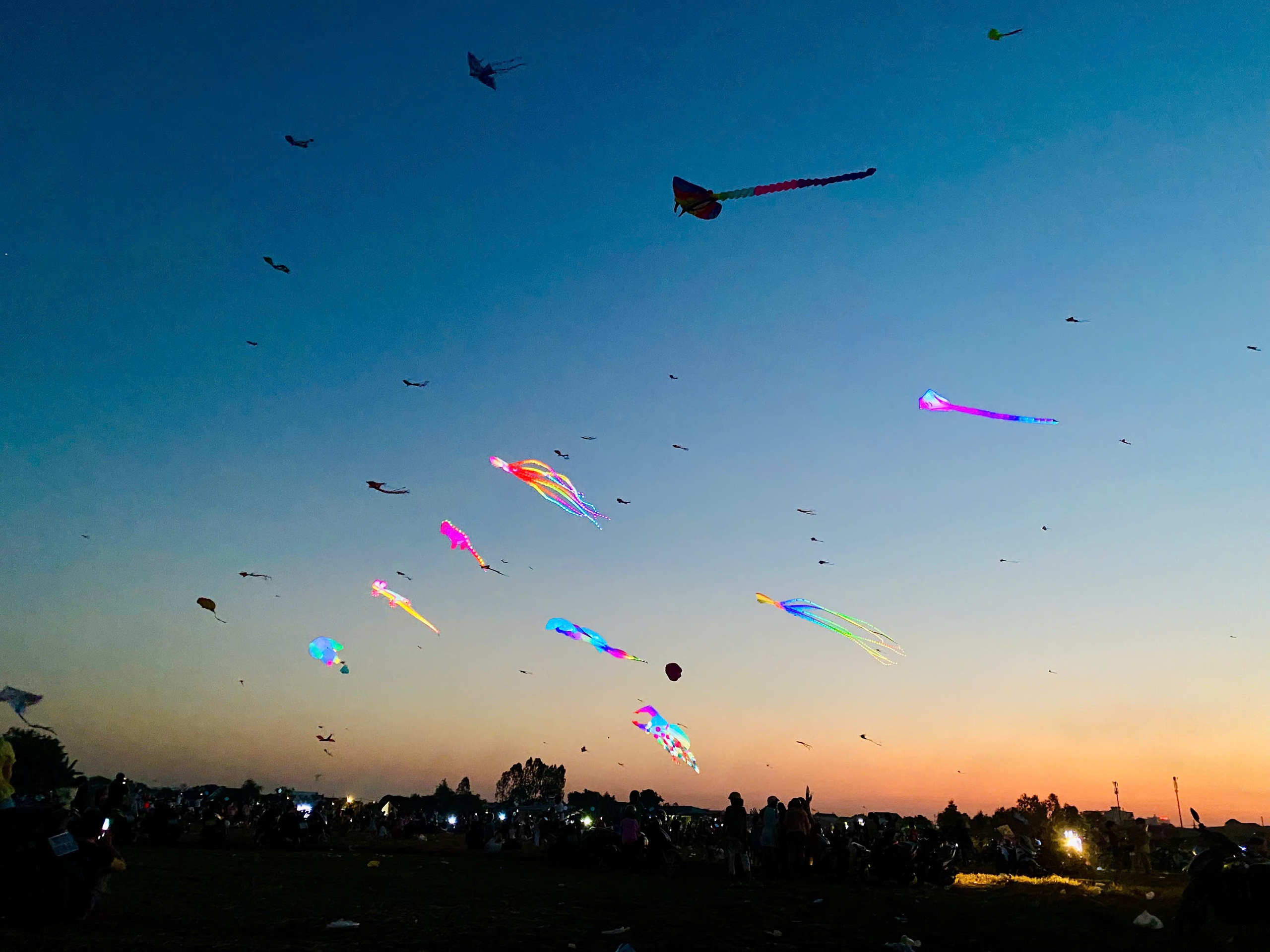 Choáng ngợp với con diều 'khổng lồ' dài 30 m, có giá hơn 40 triệu đồng - Ảnh 11.