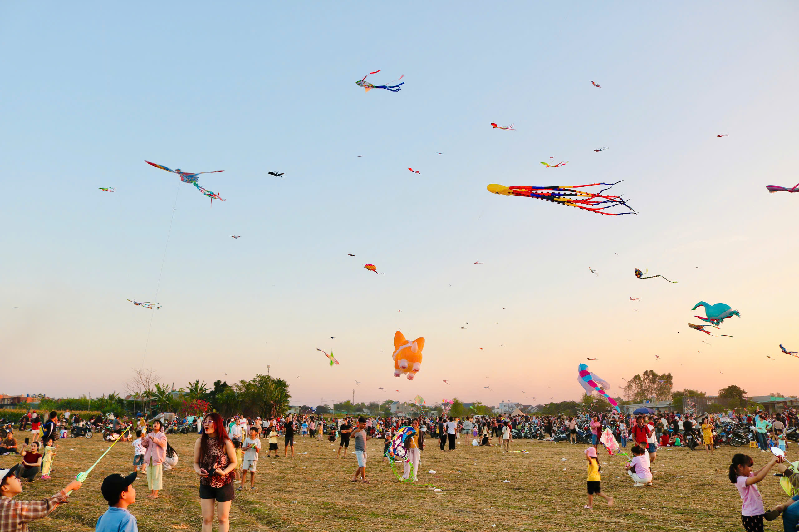 Choáng ngợp với con diều 'khổng lồ' dài 30 m, có giá hơn 40 triệu đồng - Ảnh 3.