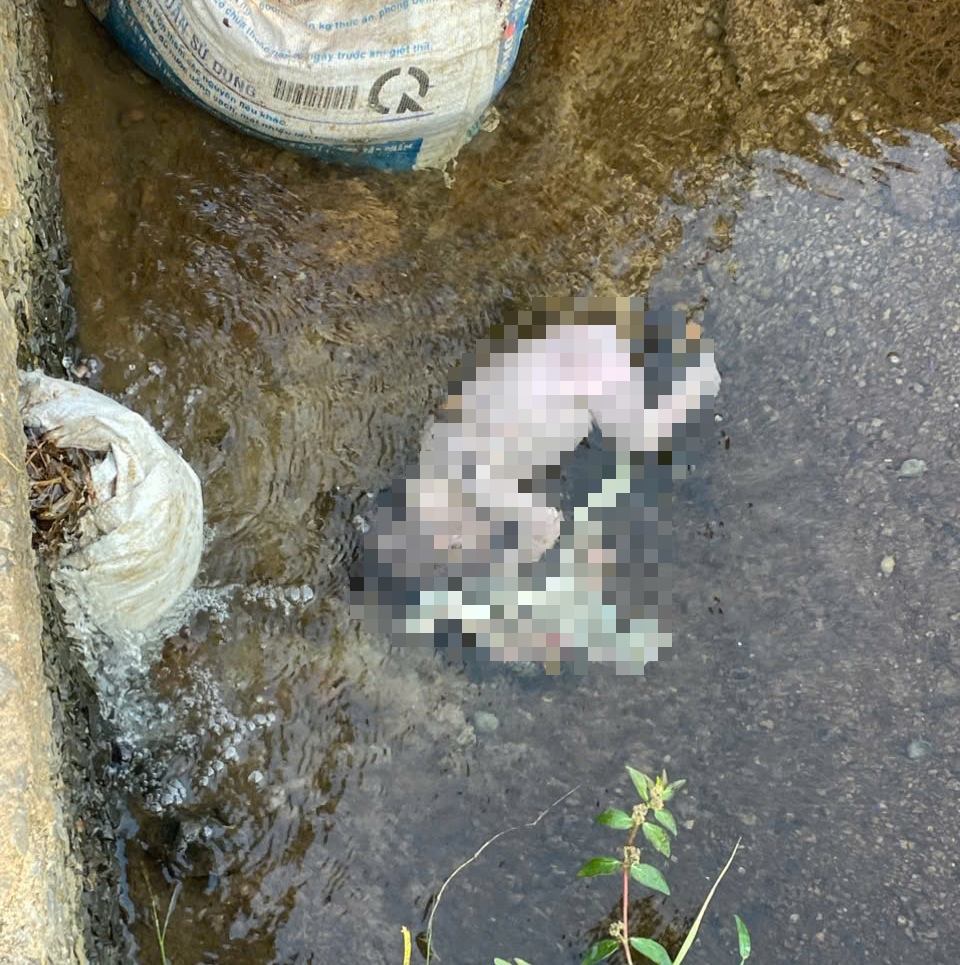 Đi tập thể dục, người dân phát hiện thi thể trẻ sơ sinh dưới kênh nước   - Ảnh 1.