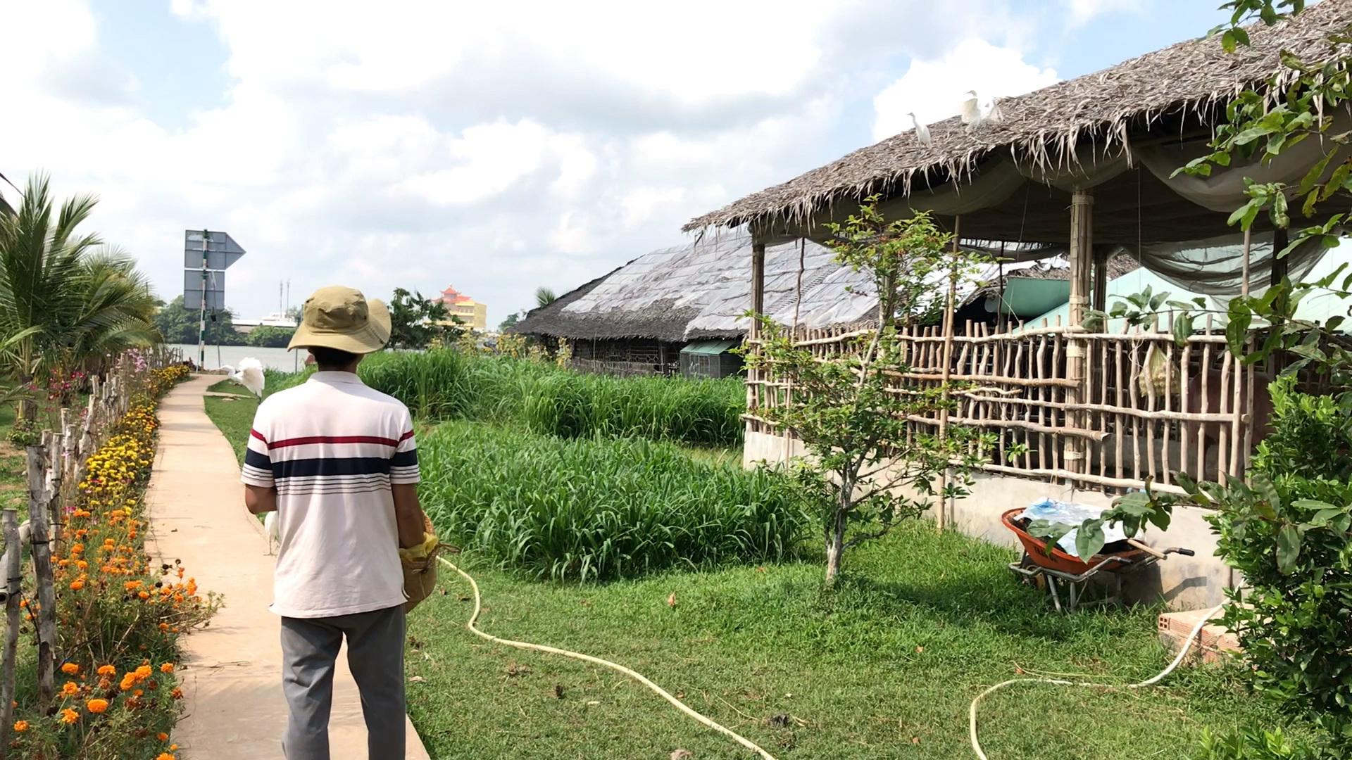 - Ảnh 4. - Ảnh 4.