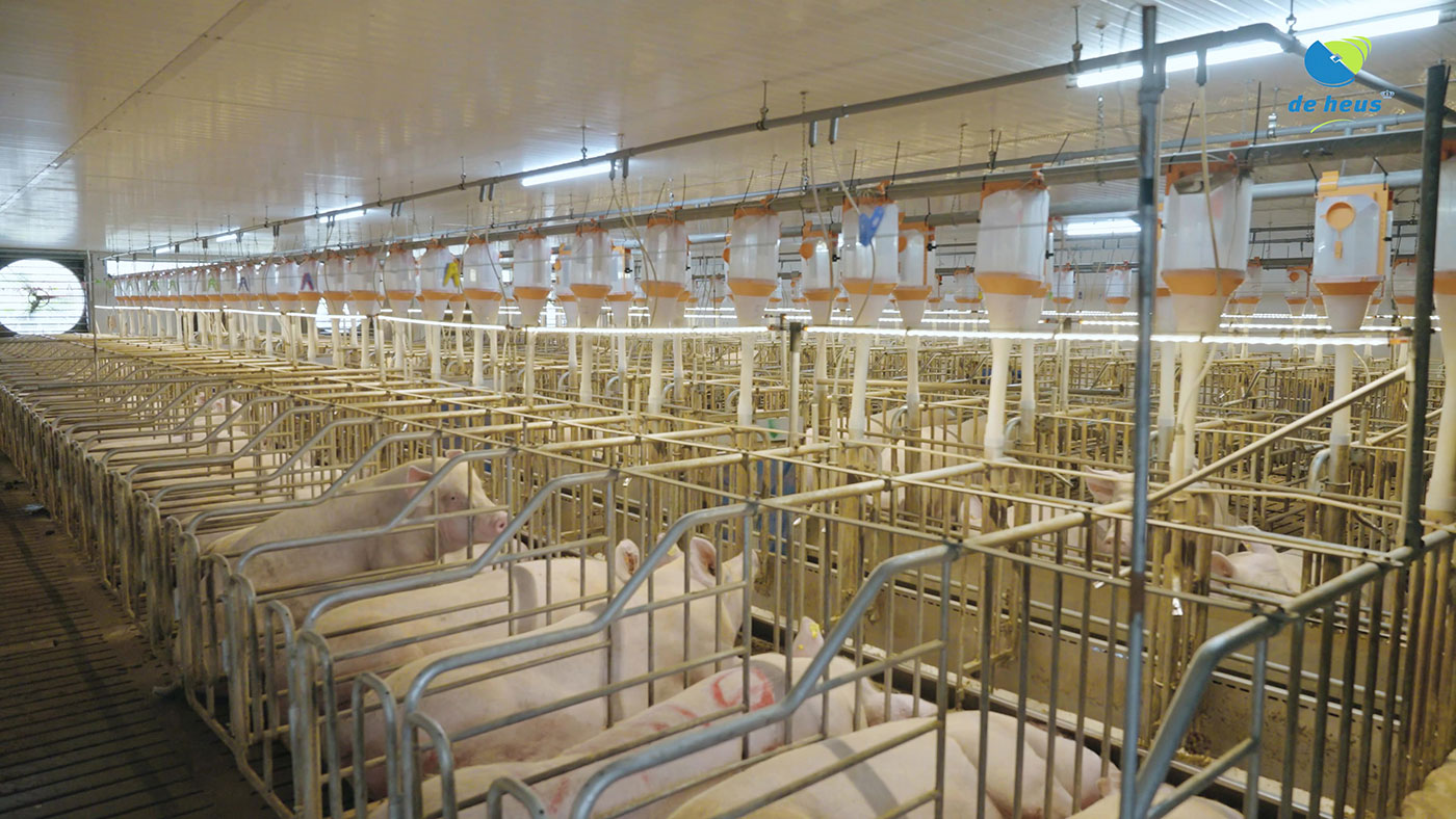 De Heus hoàn tất mua lại CJ Feed & Care, mở rộng chiến lược tại châu Á- Ảnh 5. De Heus hoàn tất mua lại CJ Feed & Care, mở rộng chiến lược tại châu Á- Ảnh 5.