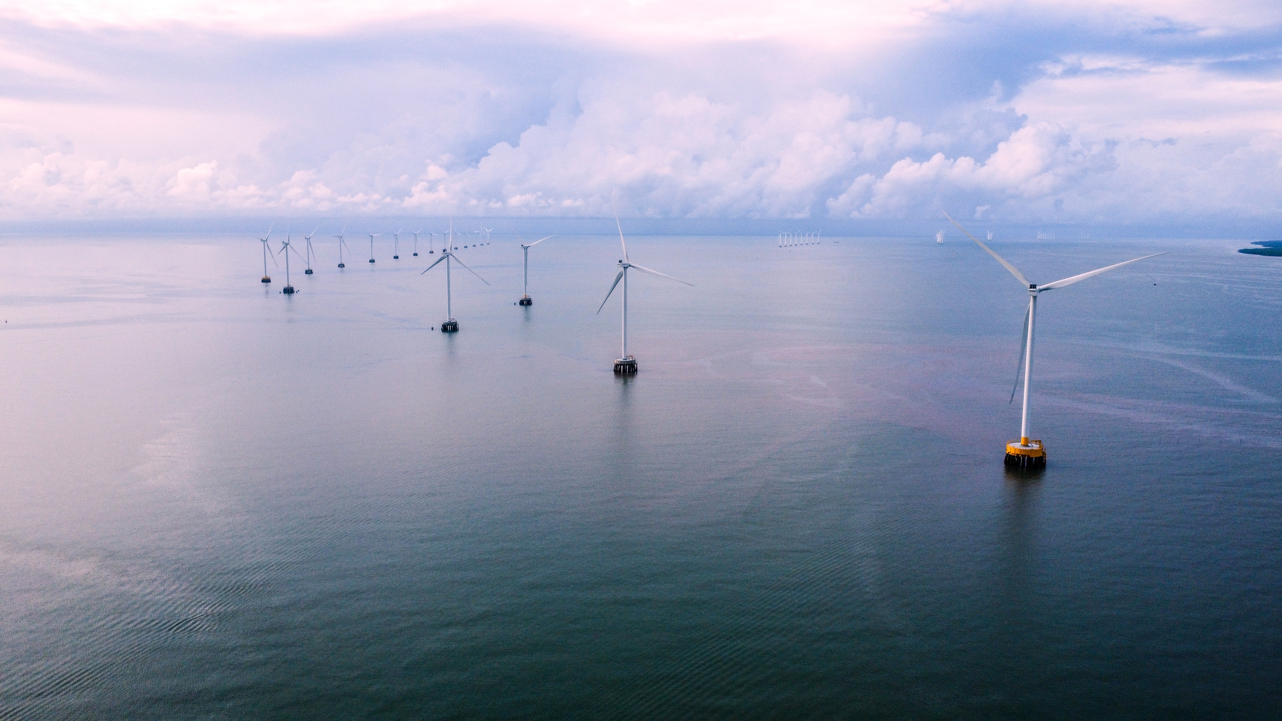 Cà Mau bàn với Vingroup dự án điện gió ngoài khơi 3.000 MW phục vụ xuất khẩu - Ảnh 1.