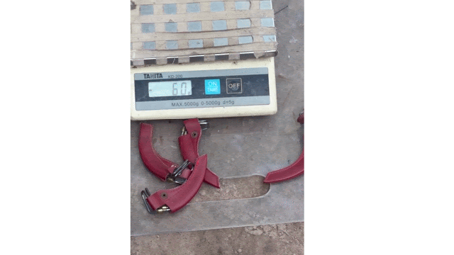 - Ảnh 7. - Ảnh 7.