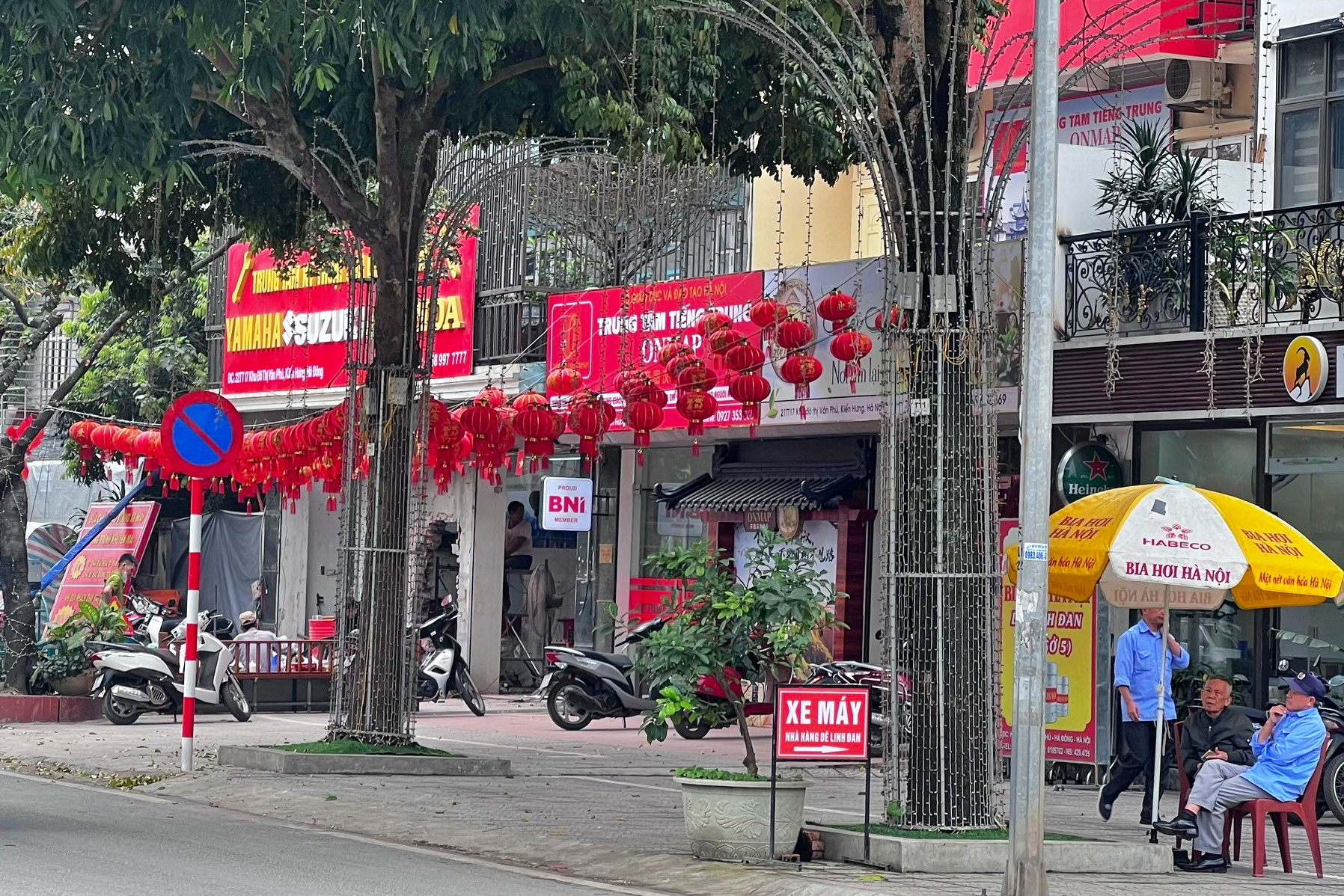 Thực trạng c&acirc;y xanh 'g&aacute;nh' đ&egrave;n trang tr&iacute;, biển hiệu ở H&agrave; Nội- Ảnh 4.