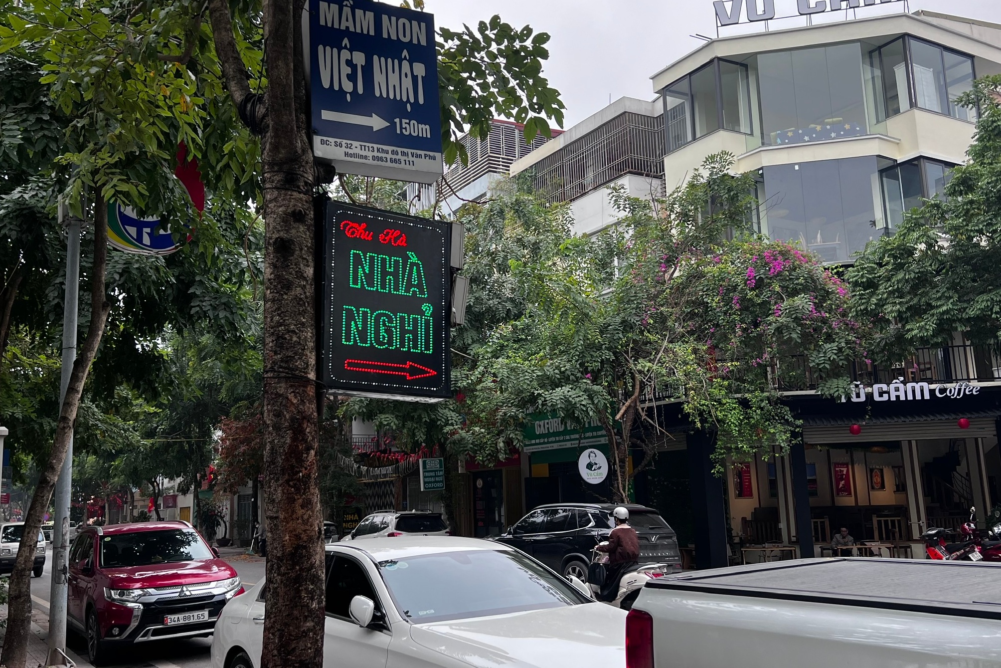 Thực trạng c&acirc;y xanh 'g&aacute;nh' đ&egrave;n trang tr&iacute;, biển hiệu ở H&agrave; Nội- Ảnh 10.