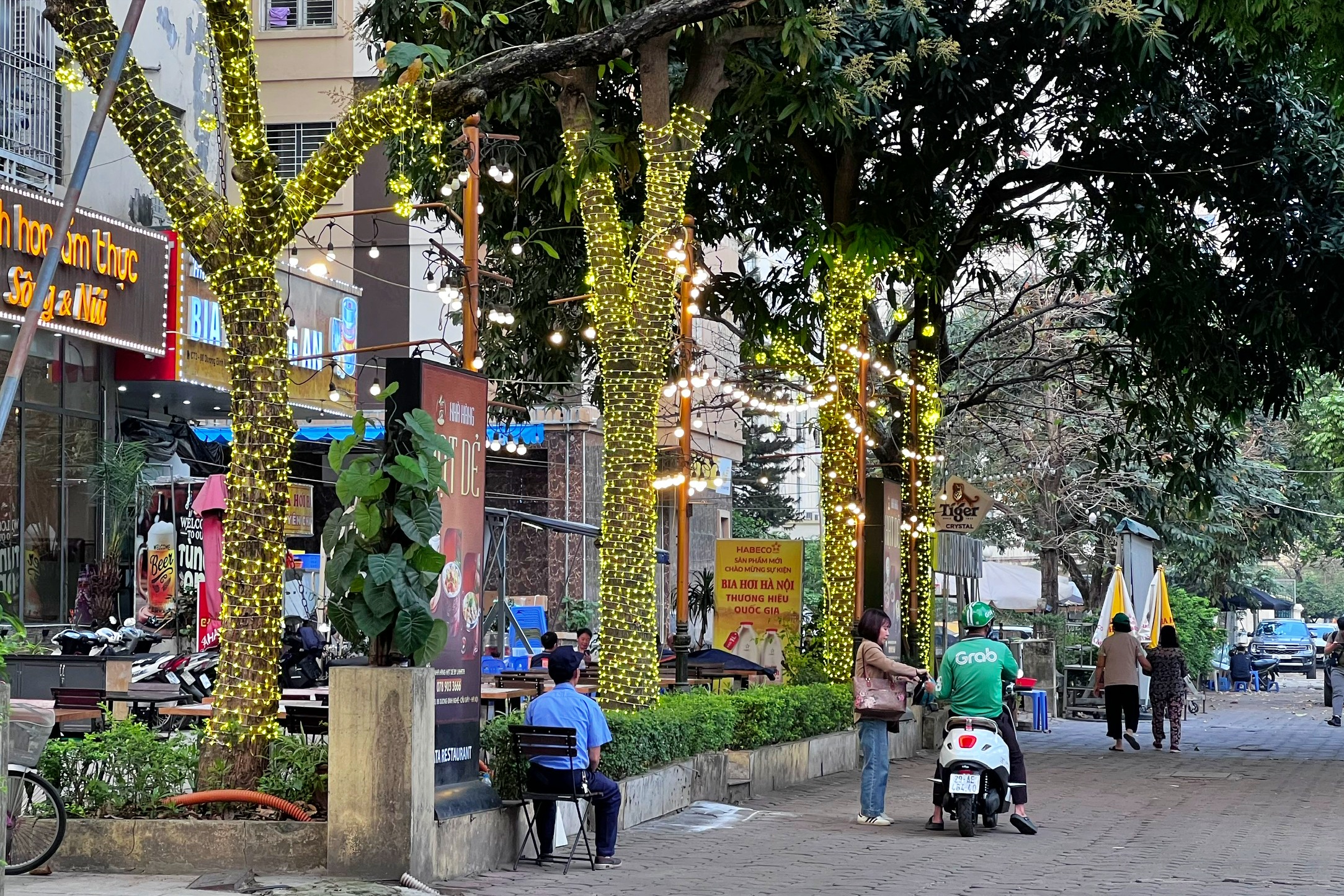 Thực trạng c&acirc;y xanh 'g&aacute;nh' đ&egrave;n trang tr&iacute;, biển hiệu ở H&agrave; Nội- Ảnh 3.