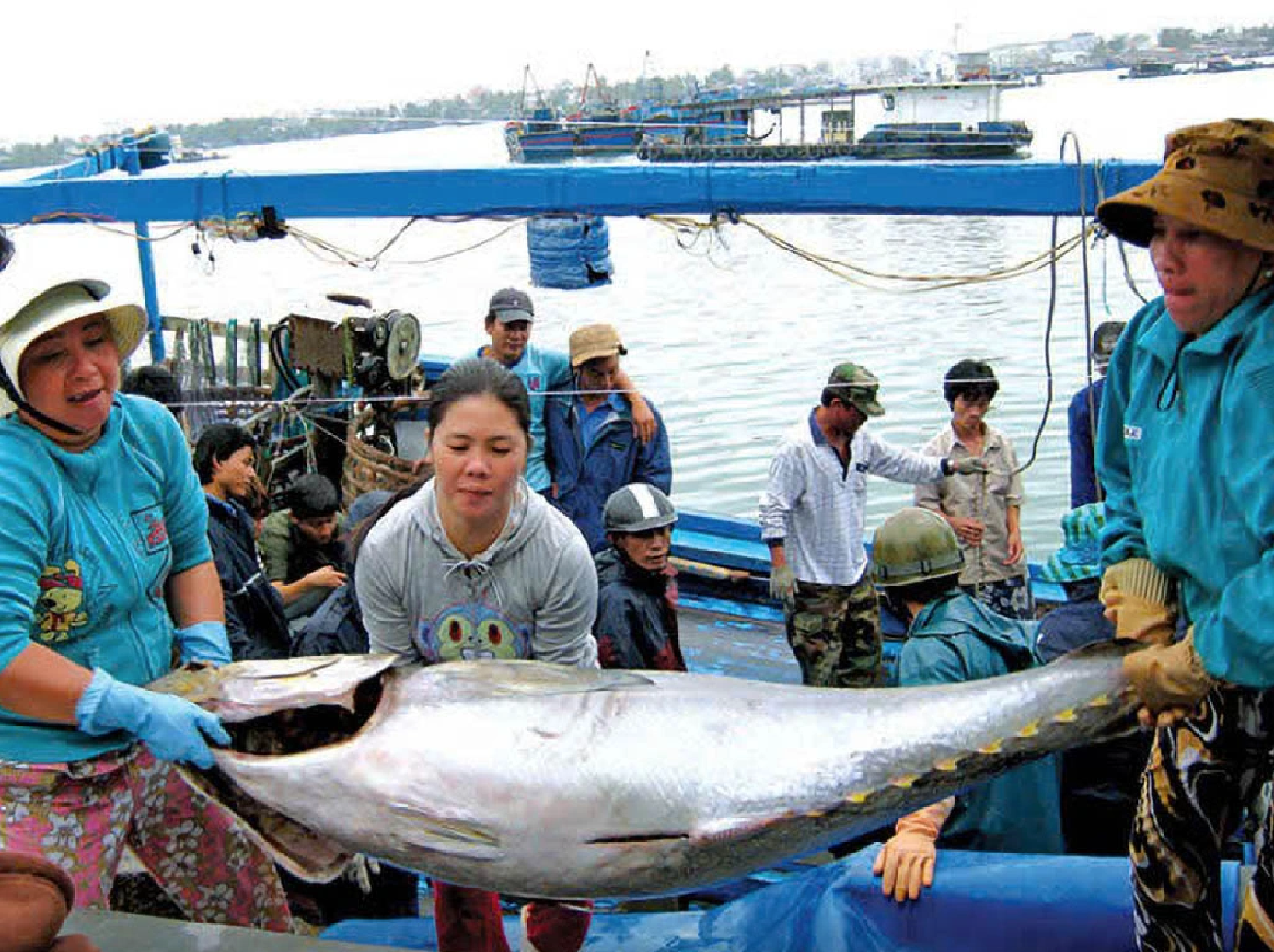 TP.HCM hỏa tốc cùng cả nước gỡ thẻ vàng IUU - Ảnh 1.