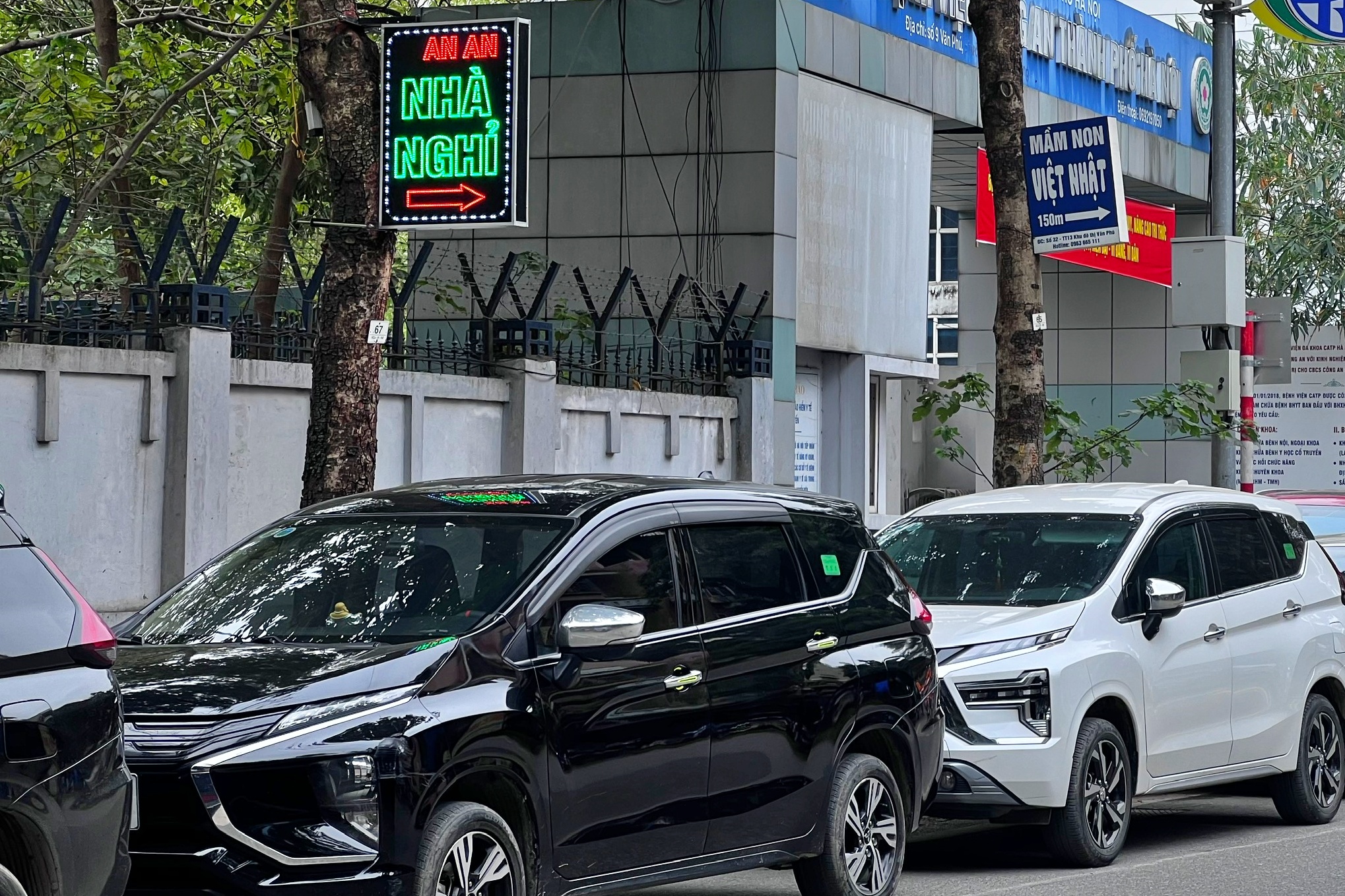 Hà Nội muốn người dân khi giăng đèn trang trí lên cây xanh phải xin phép - Ảnh 2.