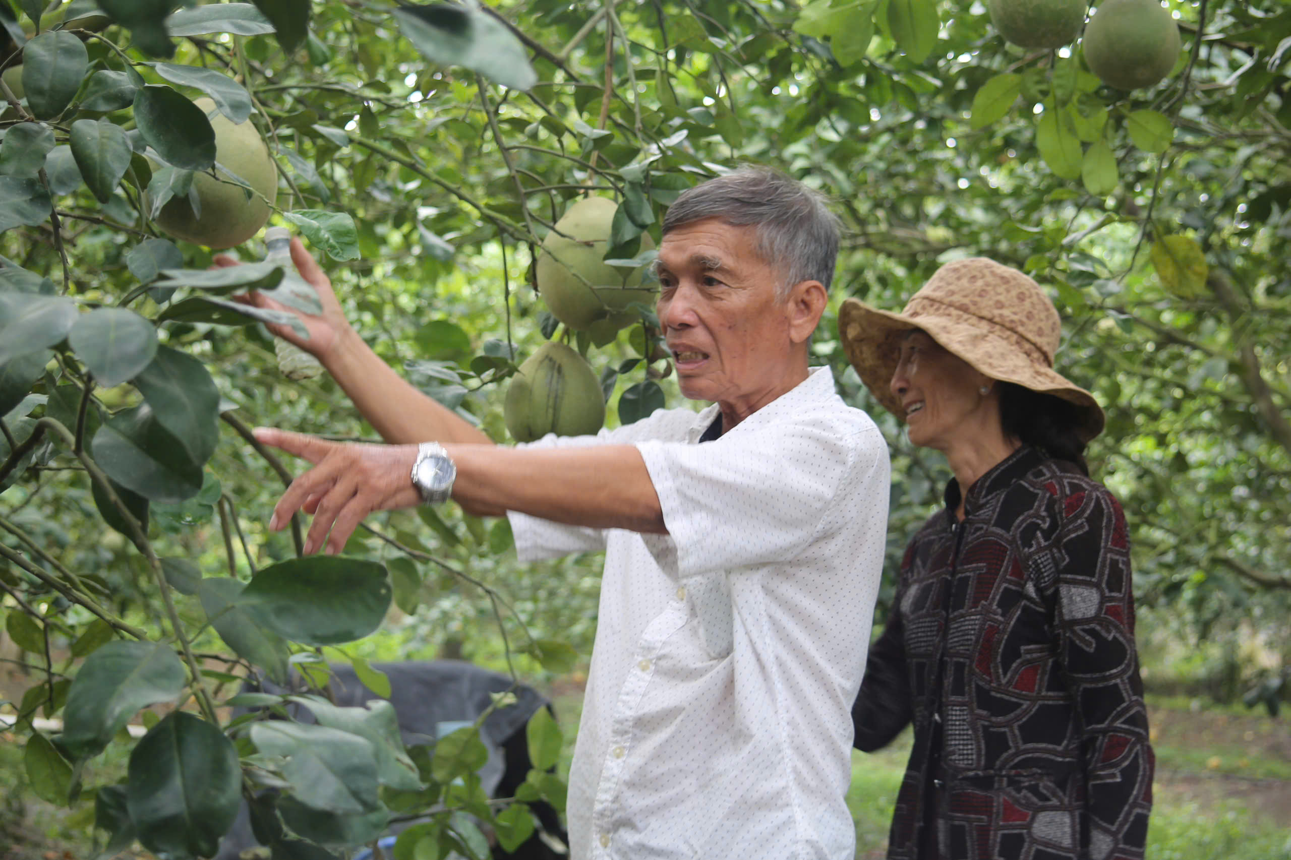 Quỹ hỗ trợ cộng đồng David Dương giúp người dân vươn lên làm giàu - Ảnh 1.