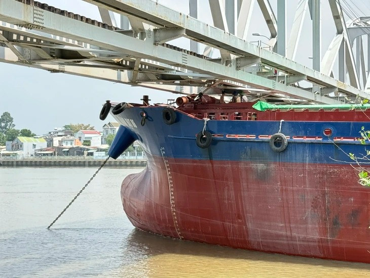 S&agrave; lan va chạm cầu Ghềnh: T&agrave;u dừng ga Bi&ecirc;n H&ograve;a, trung chuyển h&agrave;nh kh&aacute;ch về TP.HCM - Ảnh 8.