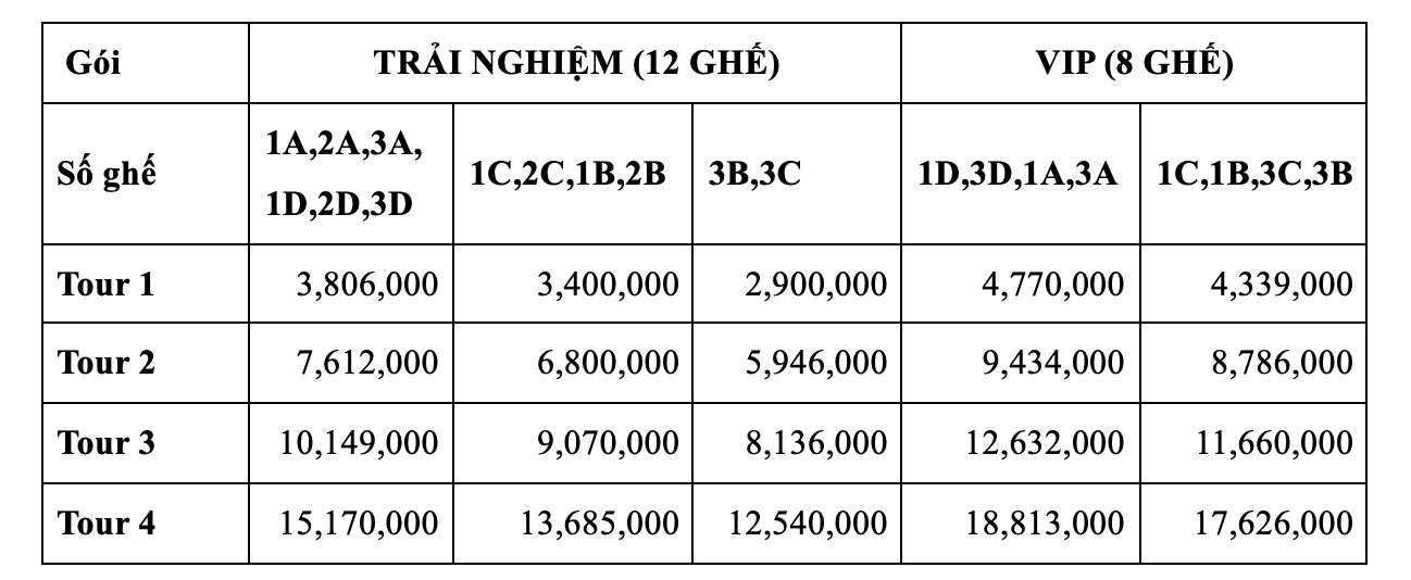 Chính thức khởi động tour trực thăng ngắm TP.HCM từ trên cao- Ảnh 2.