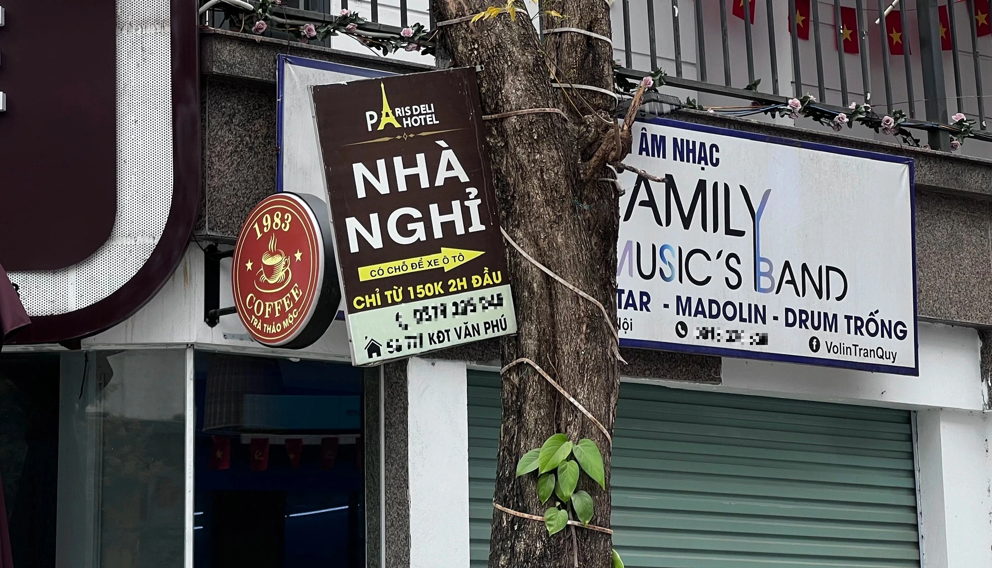 Thực trạng c&acirc;y xanh 'g&aacute;nh' đ&egrave;n trang tr&iacute;, biển hiệu ở H&agrave; Nội- Ảnh 11.