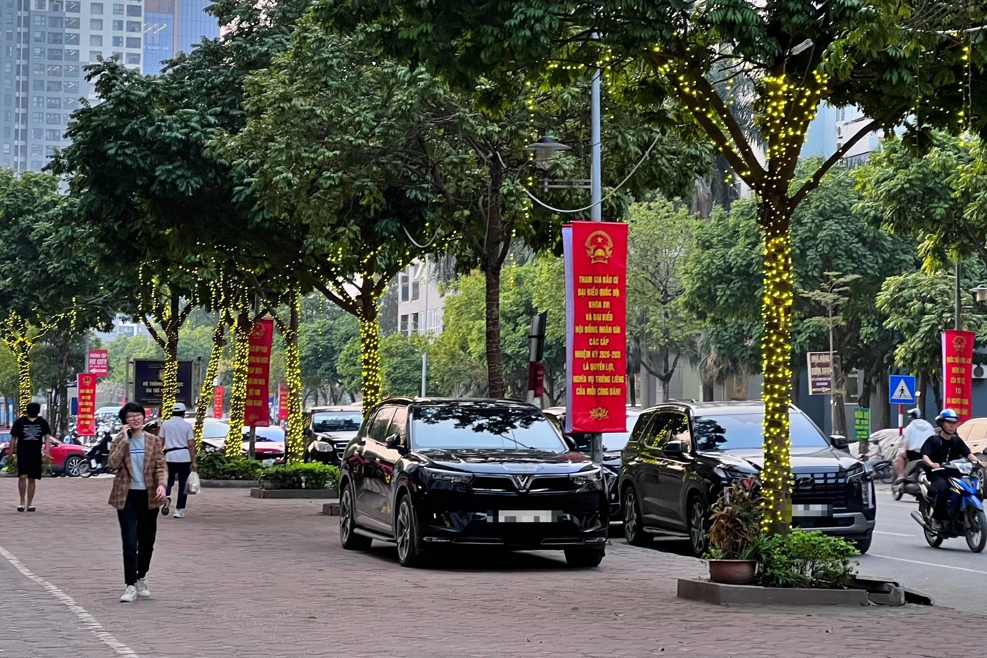 Thực trạng c&acirc;y xanh 'g&aacute;nh' đ&egrave;n trang tr&iacute;, biển hiệu ở H&agrave; Nội- Ảnh 1.