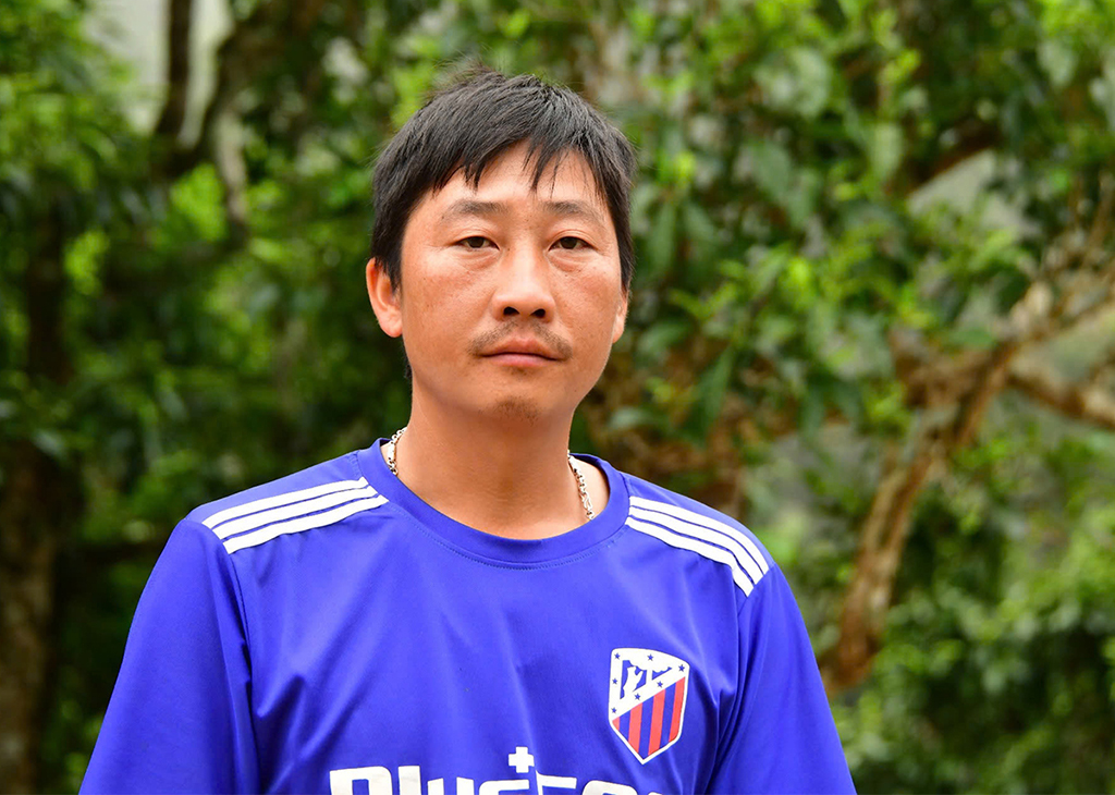 Nỗi niềm trà di sản 2026 bia di sản ' bức tử ' cây trà qúy trà Shan tuyết - Ảnh 4.