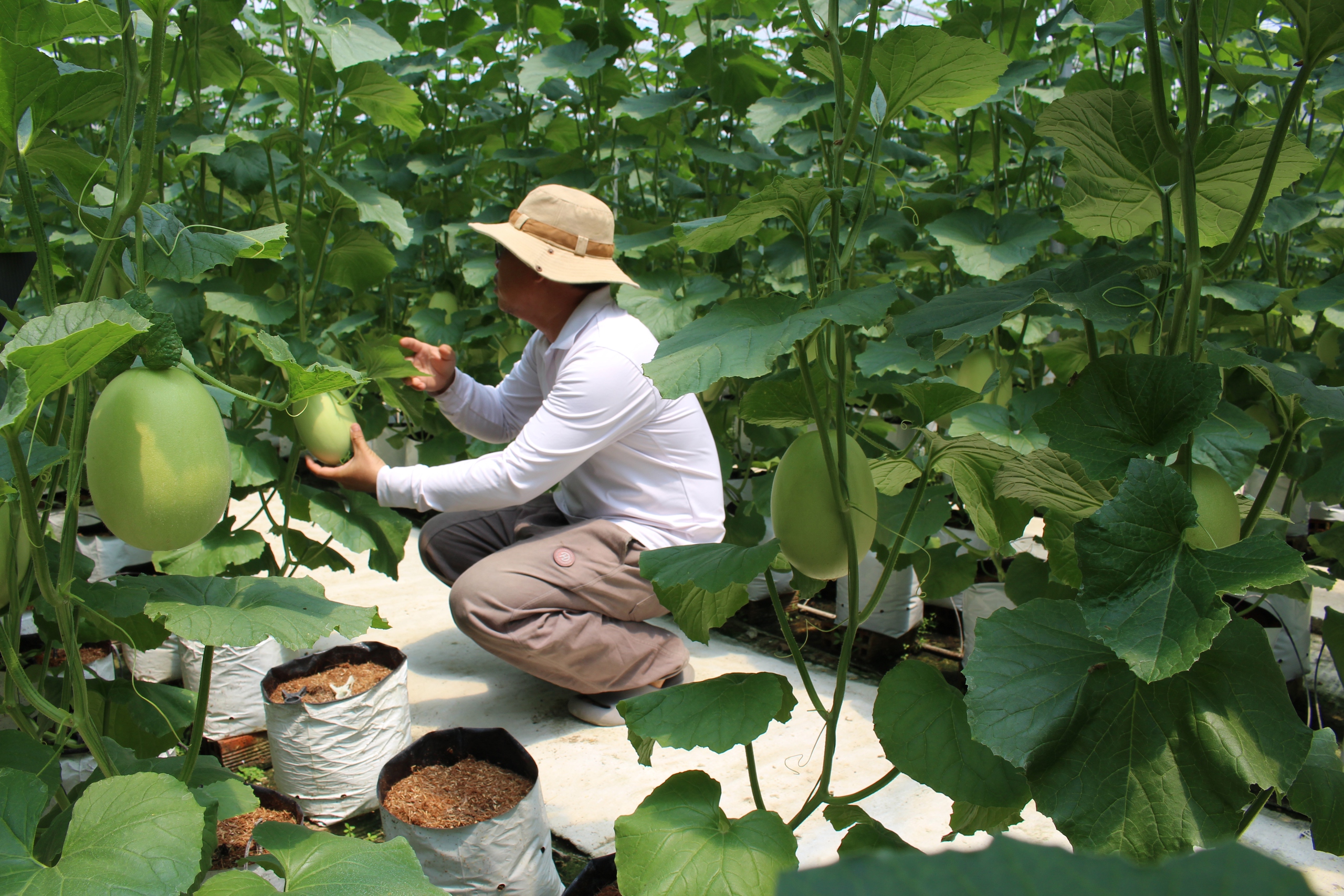 Quỹ hỗ trợ cộng đồng David Dương giúp người dân vươn lên làm giàu - Ảnh 3.