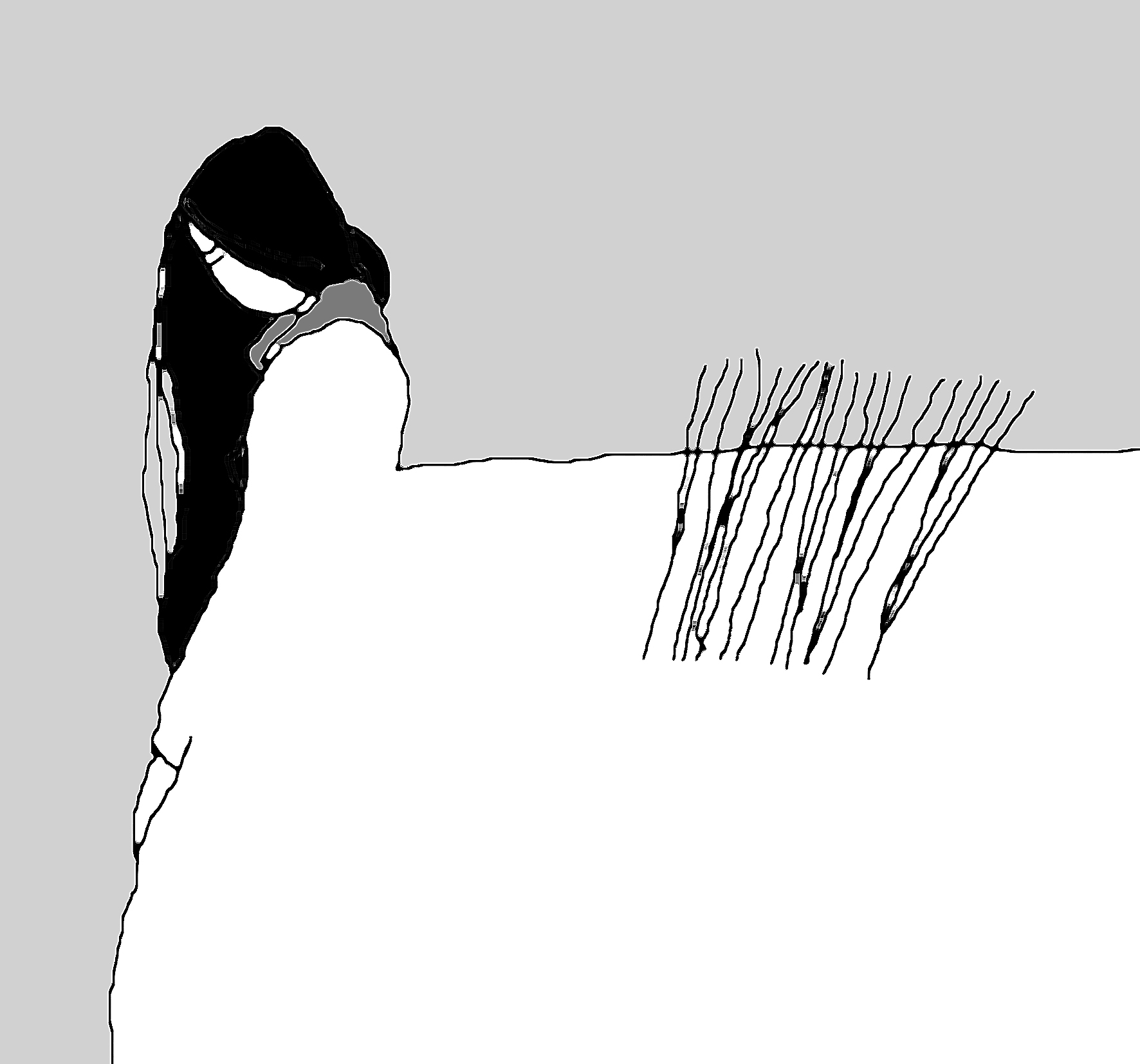 Một l&agrave;n hương trắng l&ecirc;nh đ&ecirc;nh - Thơ của Nguyễn Đăng Khoa- Ảnh 1.