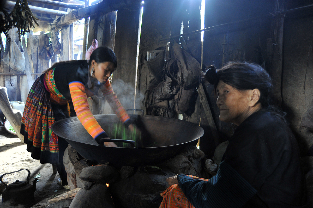 Nỗi niềm trà di sản ở Tà Xùa: Khám phá hương vị trà Shan tuyết độc đáo - Ảnh 3.