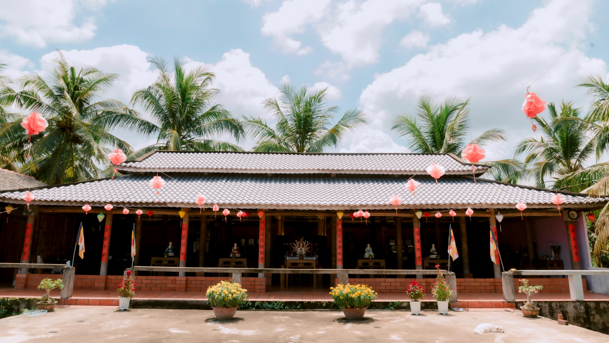 Khám phá ngôi chùa gỗ dừa độc đáo bên dòng Hàm Luông Tại Vĩnh Long - Ảnh 1.