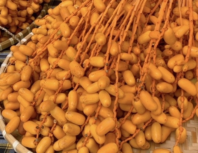 Bác sĩ: 6 lợi ích sức khỏe của quả chà là khi ăn đúng cách - Ảnh 1.