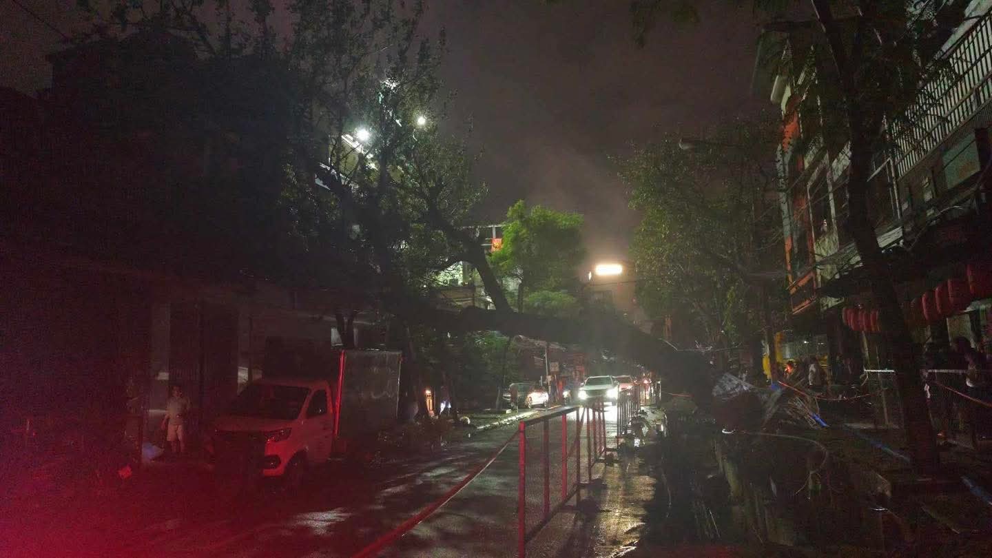 Cây cổ thụ bật gốc đè nhà dân, lo ngại do đào đường thi công dự án- Ảnh 2.