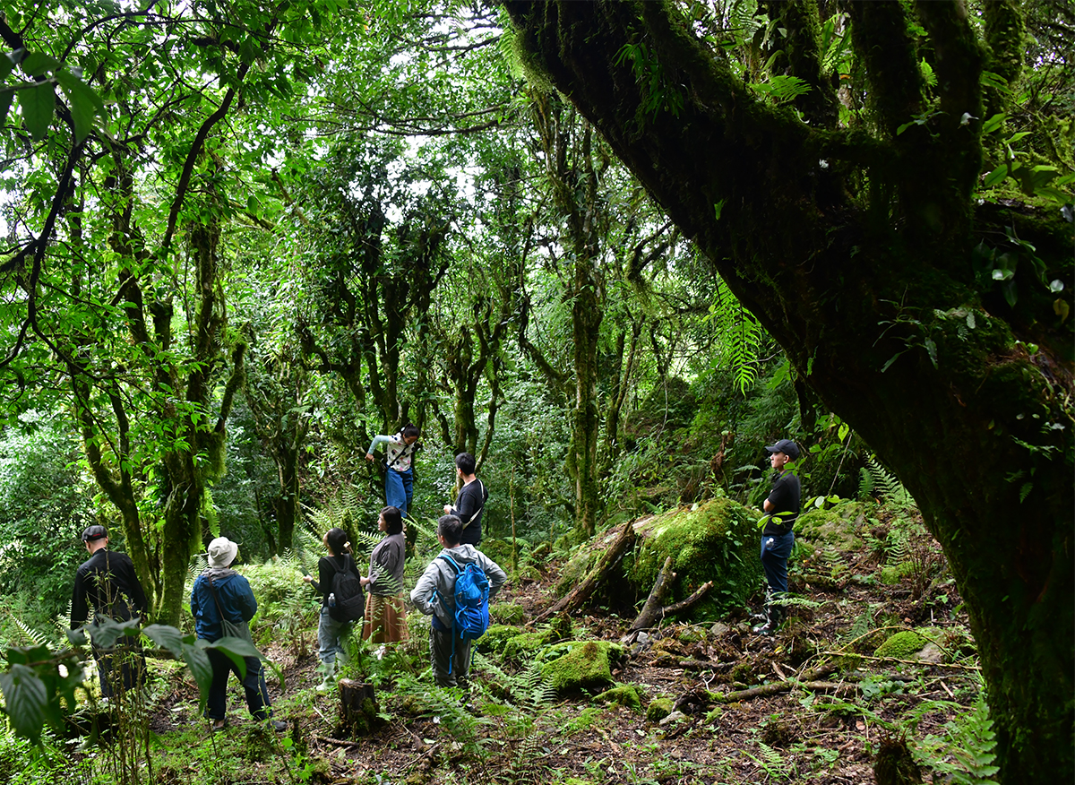 Nỗi niềm trà di sản: Phải sinh lợi, không sinh… bệnh!- Ảnh 6.