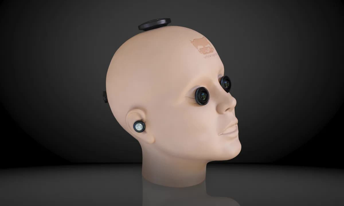 Thiết bị trong tương lai có thể mở khóa bằng 'hộp sọ' - Ảnh 1.