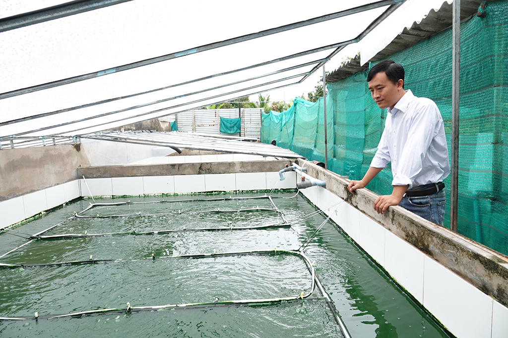 Người đàn ông biến bồn nước thành 'siêu thực phẩm' Spirulina