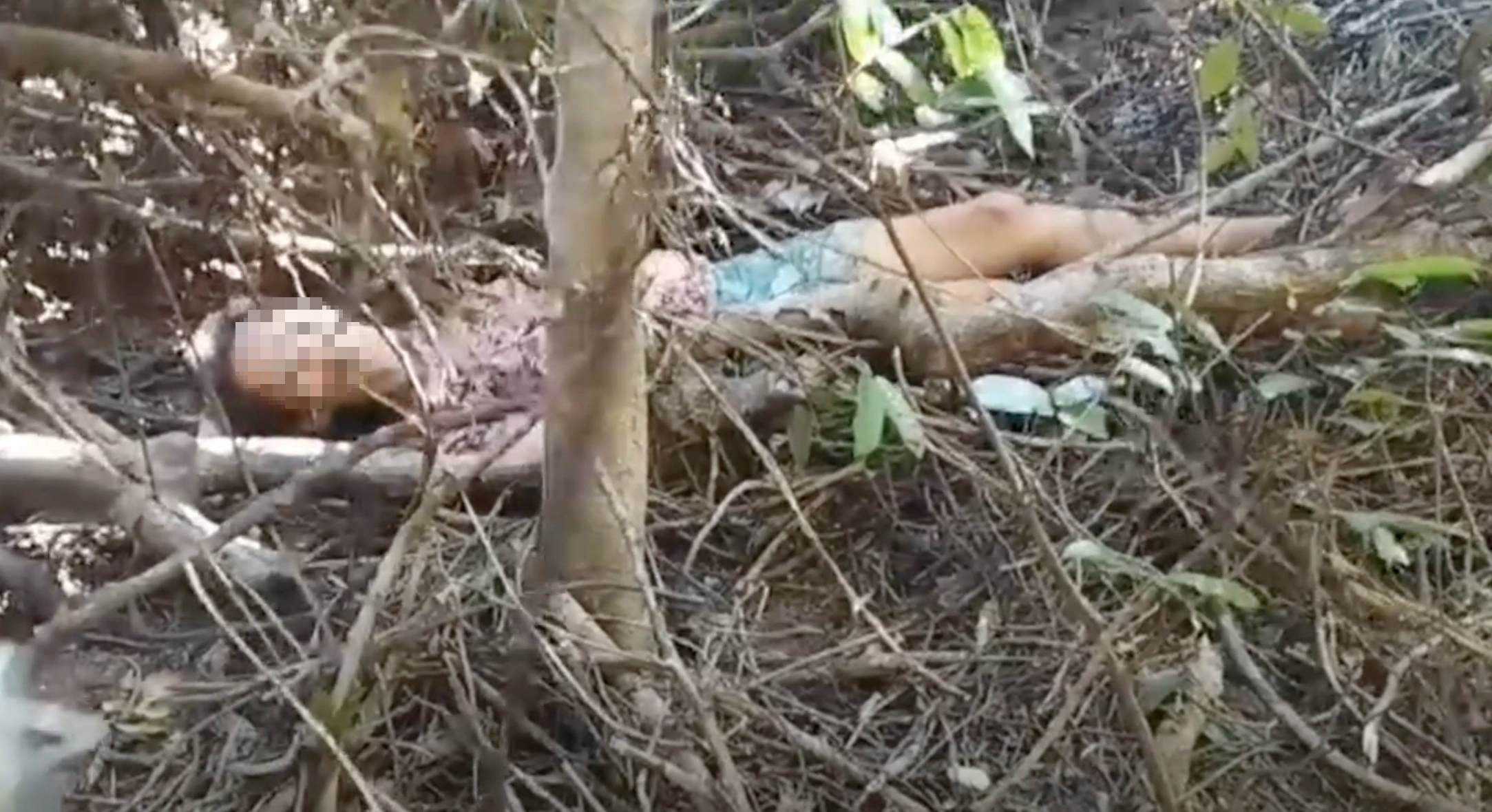 Người phụ nữ mất tích 10 ngày được công an tìm thấy trong rừng sâu - Ảnh 1.