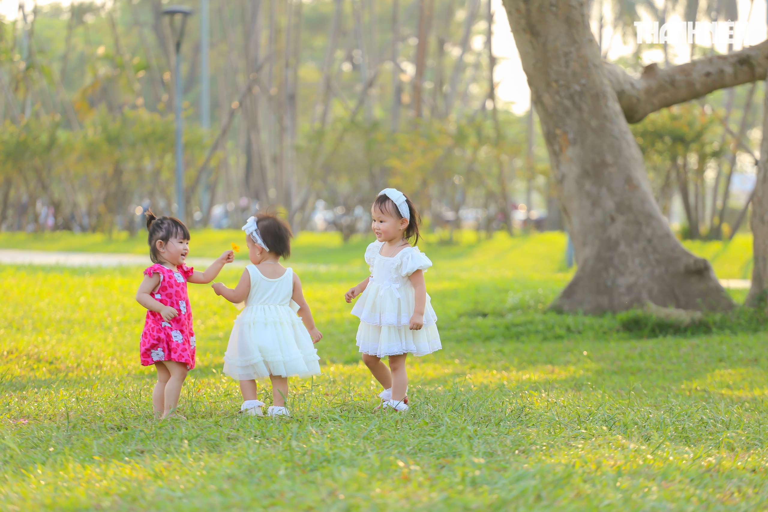 Tọa độ picnic v&agrave; check-in b&ecirc;n bờ s&ocirc;ng Hương đang g&acirc;y sốt - Ảnh 3.