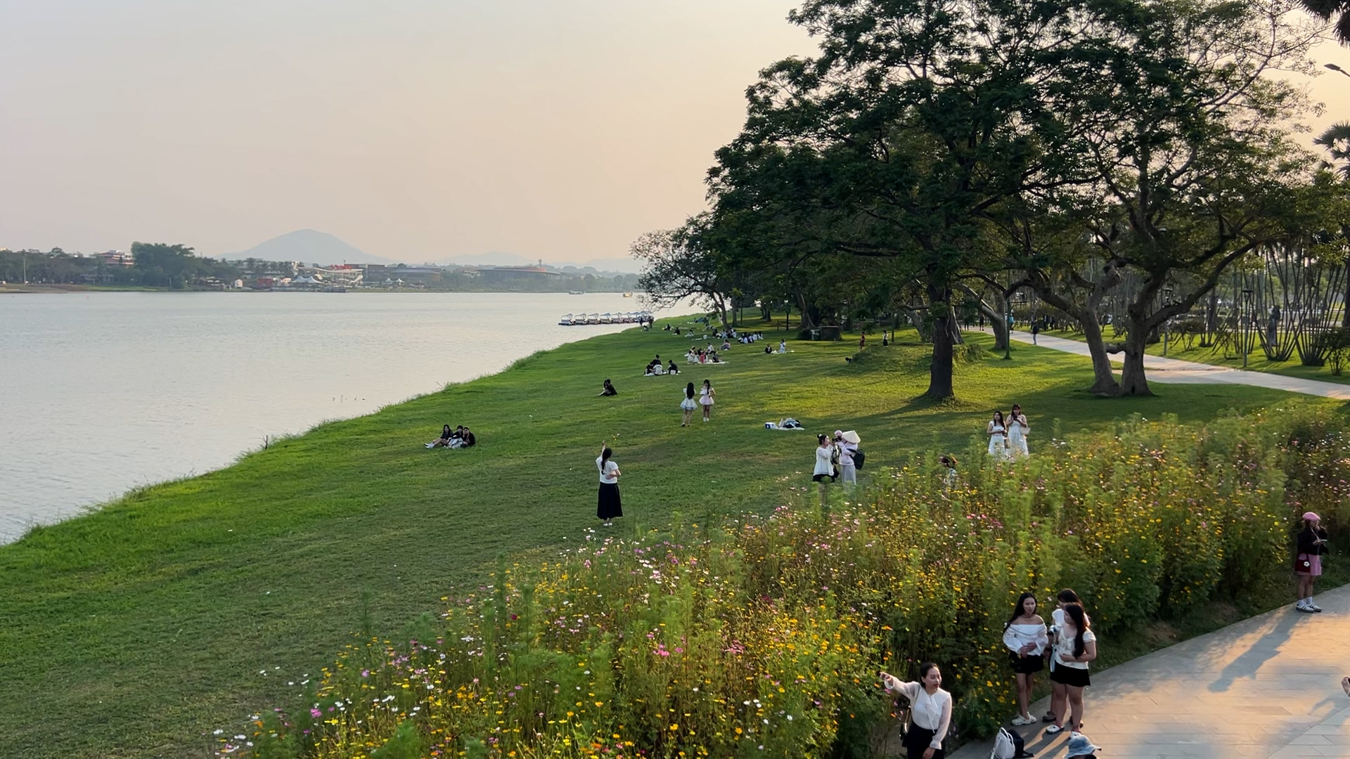 Vườn hoa sao nh&aacute;i tuyệt đẹp b&ecirc;n bờ s&ocirc;ng Hương: Giới trẻ n&ocirc; nức check-in - Ảnh 1.