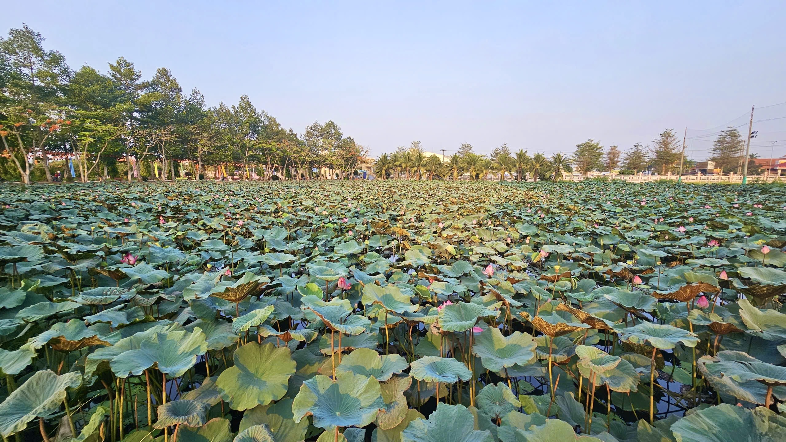Trường ĐH có công trình đạt kỷ lục Việt Nam, nơi diễn ra tư vấn mùa thi - Ảnh 9.