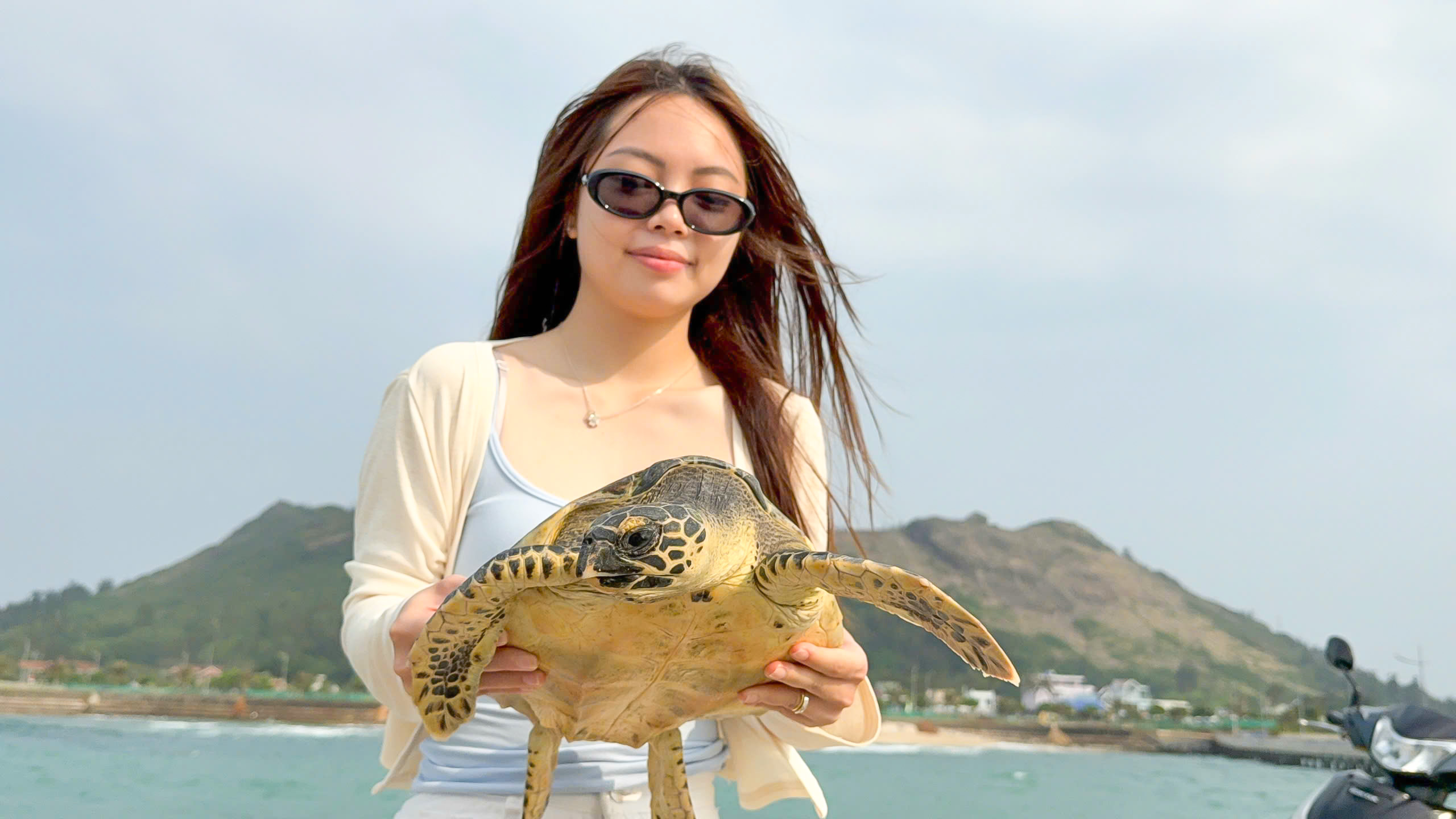 Du khách cùng thả rùa biển quý hiếm mắc 'lưới ma' về đại dương- Ảnh 2.