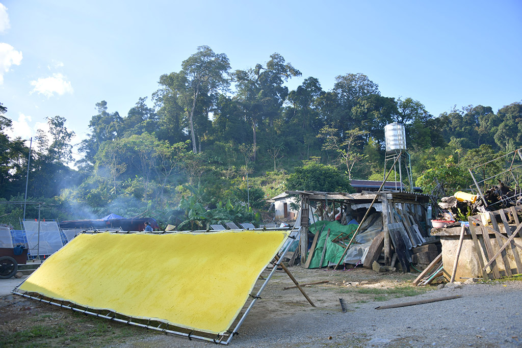 Giấy giang Pà Cò, khi hồn rừng về phố thị- Ảnh 11. Giấy giang Pà Cò, khi hồn rừng về phố thị- Ảnh 11.