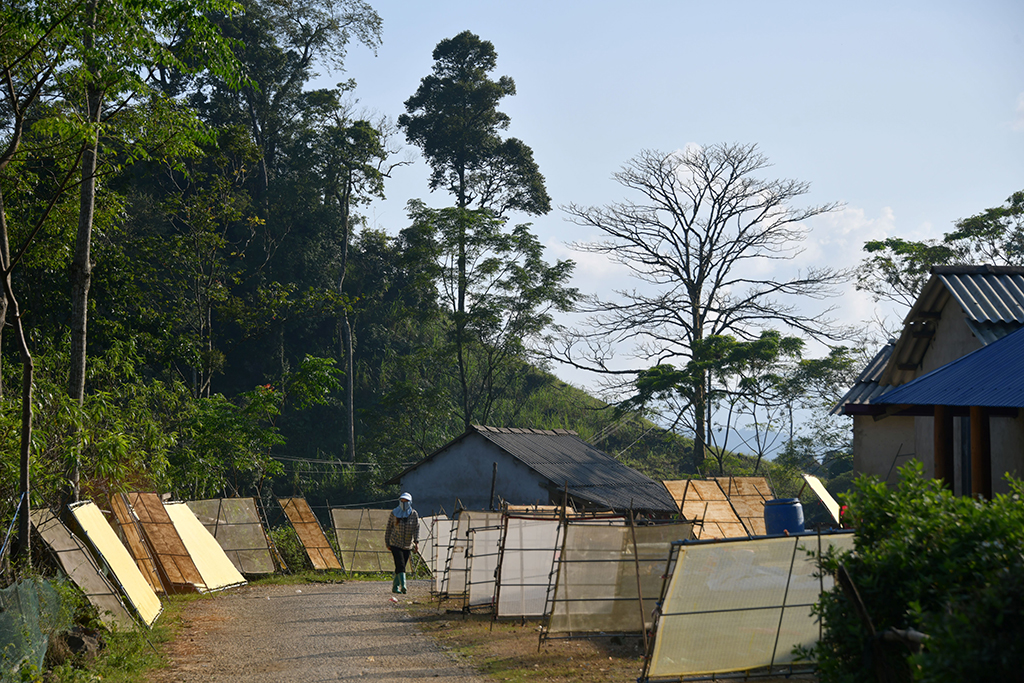 Giấy giang Pà Cò, khi hồn rừng về phố thị- Ảnh 1. Giấy giang Pà Cò, khi hồn rừng về phố thị- Ảnh 1.