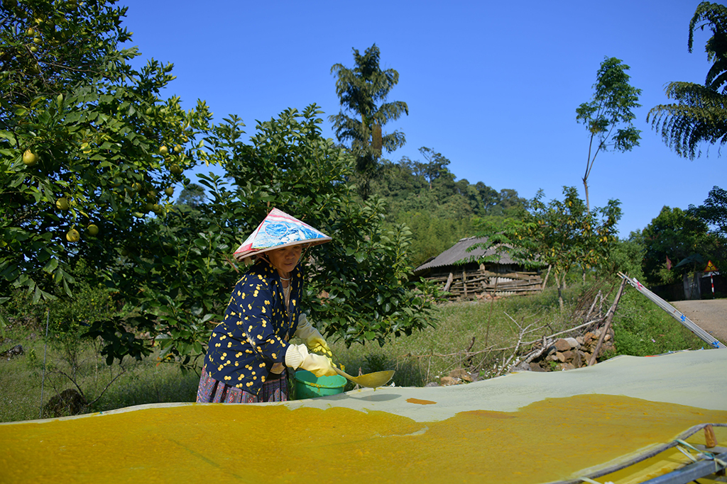 Giấy giang Pà Cò, khi hồn rừng về phố thị- Ảnh 7. Giấy giang Pà Cò, khi hồn rừng về phố thị- Ảnh 7.