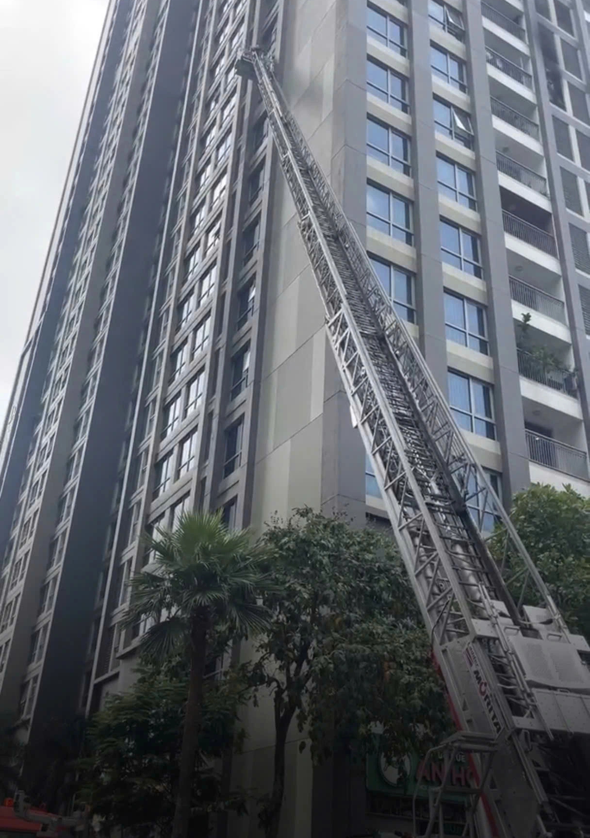 Cháy căn hộ tầng 10, khói đen bao trùm chung cư ở TP.HCM - Ảnh 2.