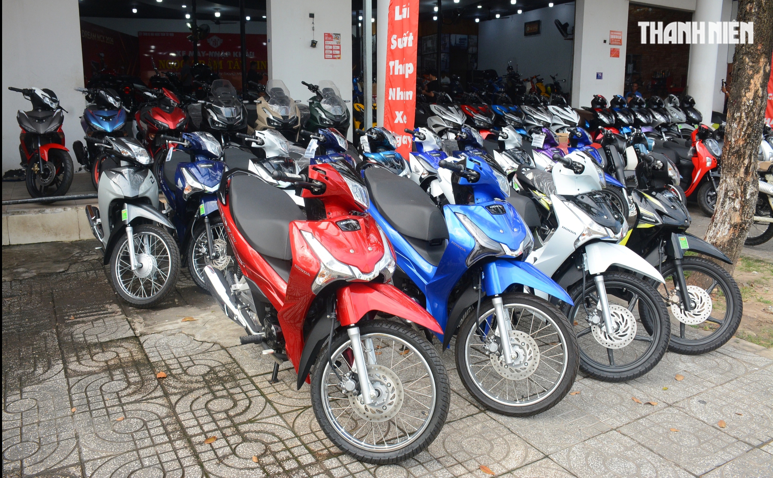 Nhu cầu mua sắm xe m&aacute;y xăng của người Việt vẫn gia tăng đầu năm 2026 - Ảnh 1.