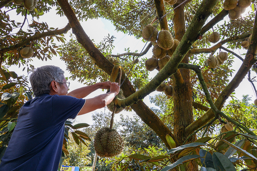 Trung Quốc, thị trường tiêu thụ lớn của Việt Nam- Ảnh 1. Trung Quốc, thị trường tiêu thụ lớn của Việt Nam- Ảnh 1.