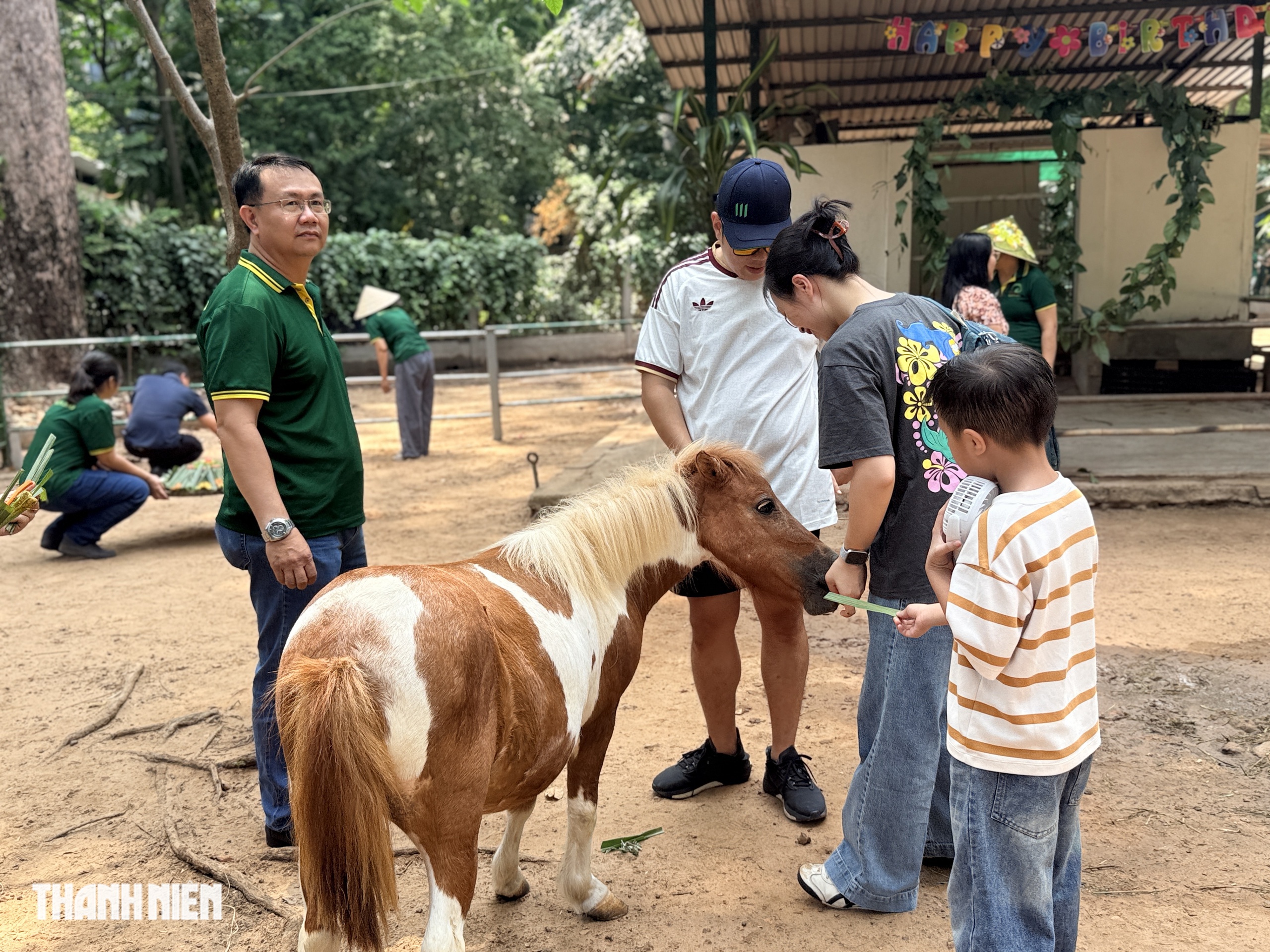 'Nàng' ngựa lùn Ca Cao siêu tinh nghịch trong tiệc đầy tháng ở Thảo Cầm Viên- Ảnh 5. 'Nàng' ngựa lùn Ca Cao siêu tinh nghịch trong tiệc đầy tháng ở Thảo Cầm Viên- Ảnh 5.