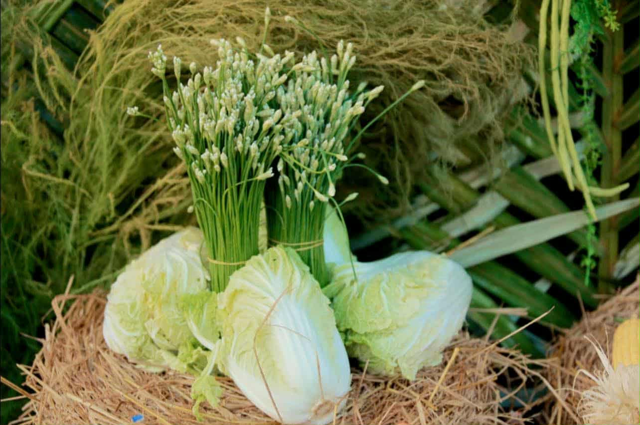 Đ&aacute;m cưới &lsquo;nặng k&yacute;&rsquo; nhất C&agrave; Mau: Hơn 315 kg rau củ quả phủ k&iacute;n bữa tiệc - Ảnh 7.