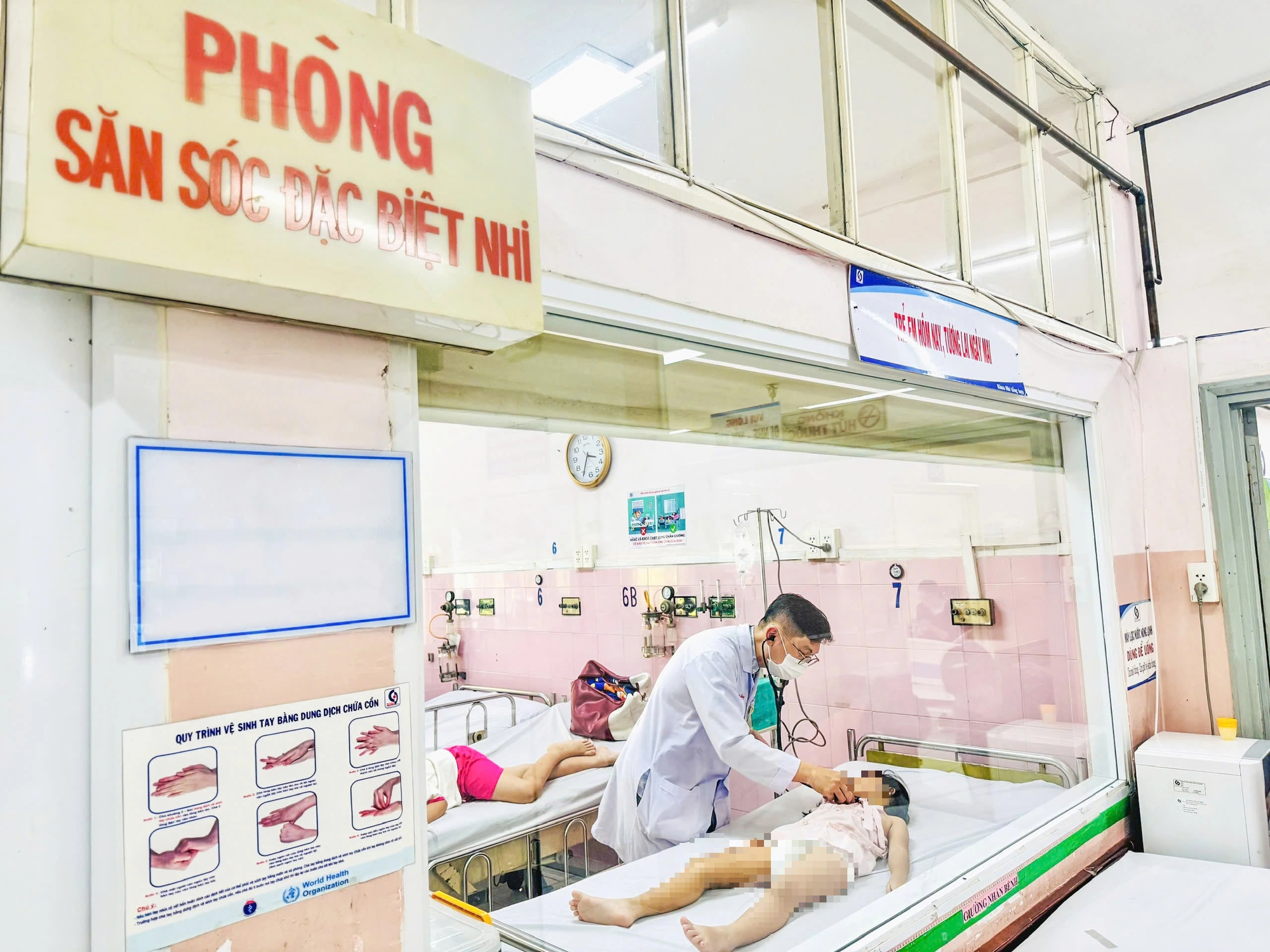 Vi khuẩn Salmonella enteritidis gây ngộ độc thực phẩm tại Trường tiểu học Bình Quới Tây - Ảnh 1.