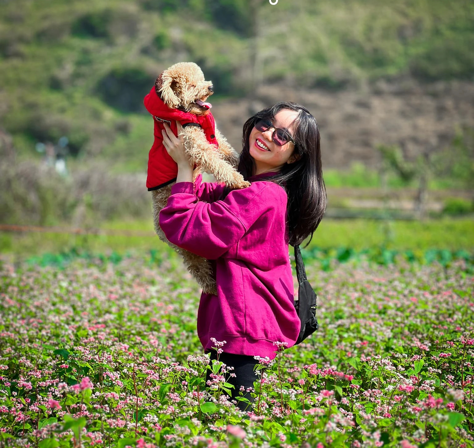 Chi tiền triệu nuôi thú cưng: Người yêu chưa có, nhưng chó, mèo phải có một con - Ảnh 2.