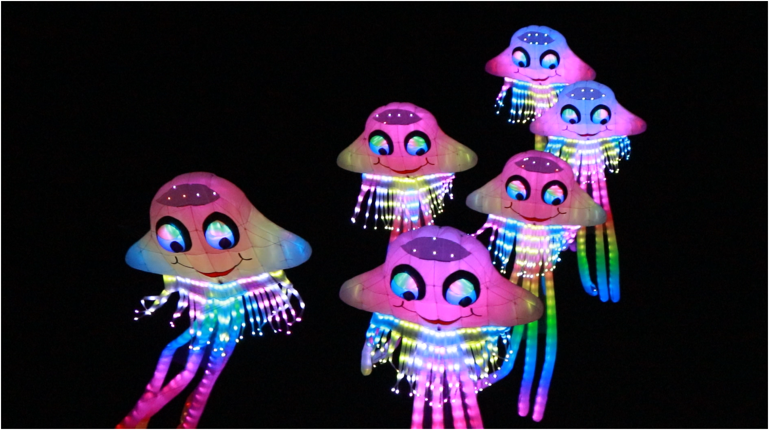 Cho&aacute;ng với &ldquo;si&ecirc;u diều&rdquo; 30 triệu ph&aacute;t s&aacute;ng rực trời, d&acirc;n t&igrave;nh k&eacute;o đến xem k&iacute;n  - Ảnh 3.