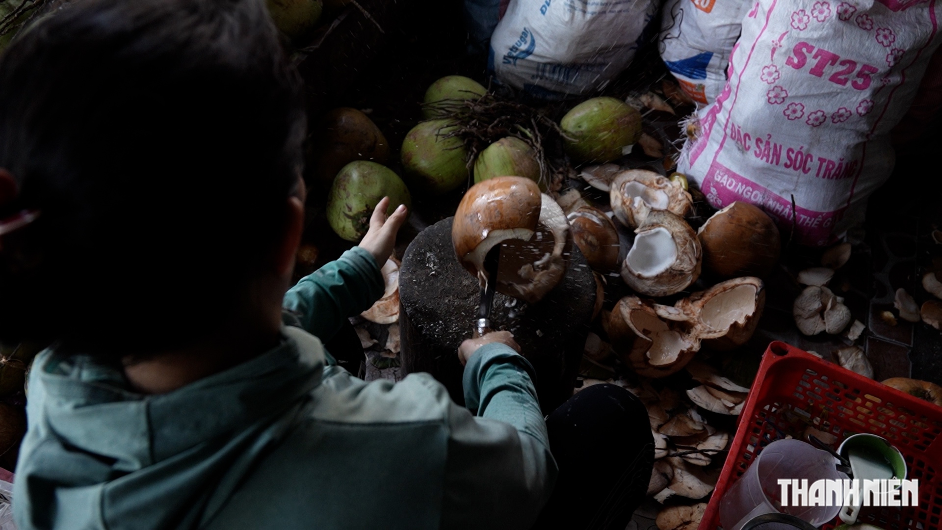 - Ảnh 1. - Ảnh 1.