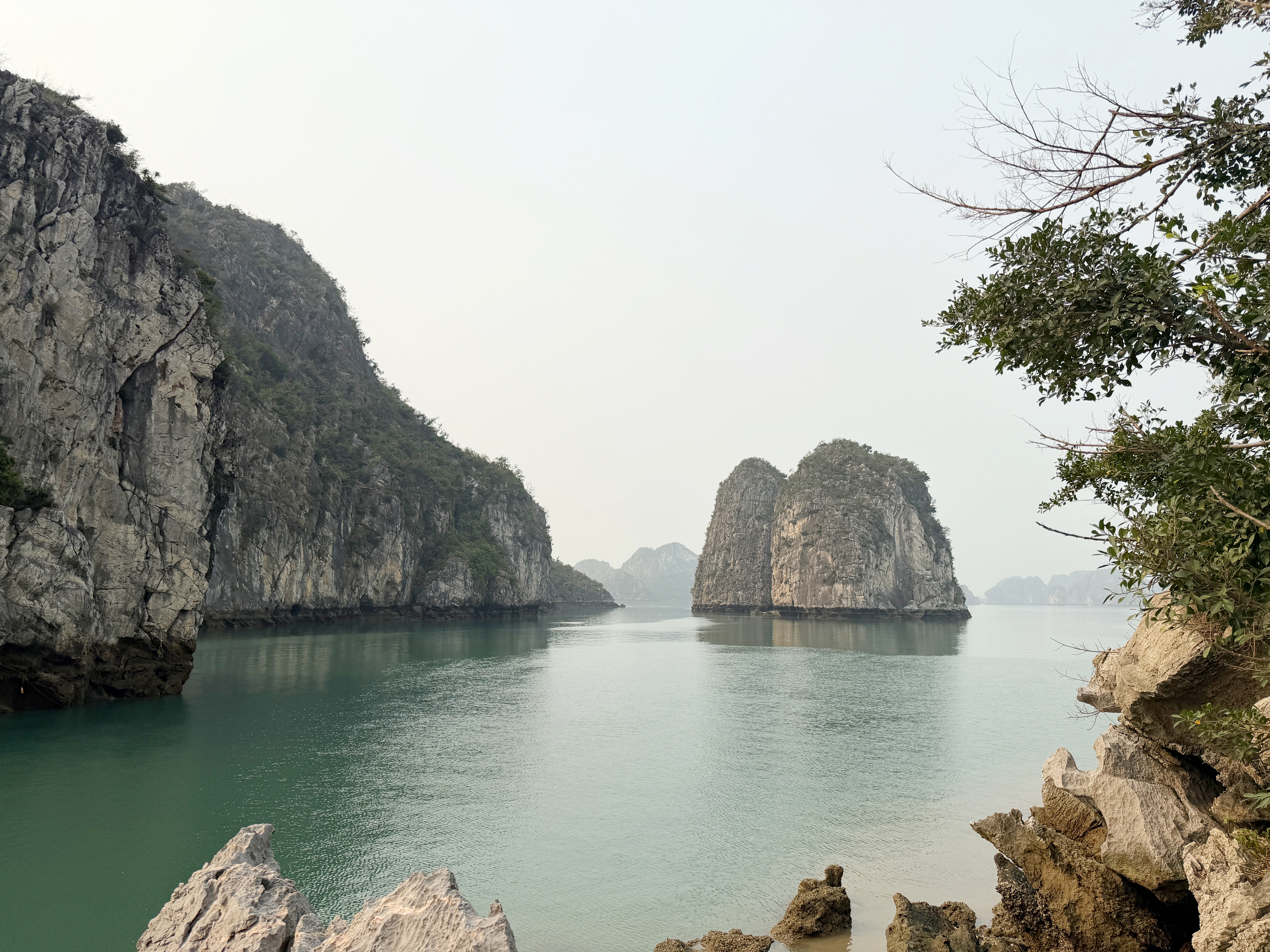 Kh&aacute;ch ngoại đổ về vịnh Hạ Long vượt xa kh&aacute;ch Việt- Ảnh 8.