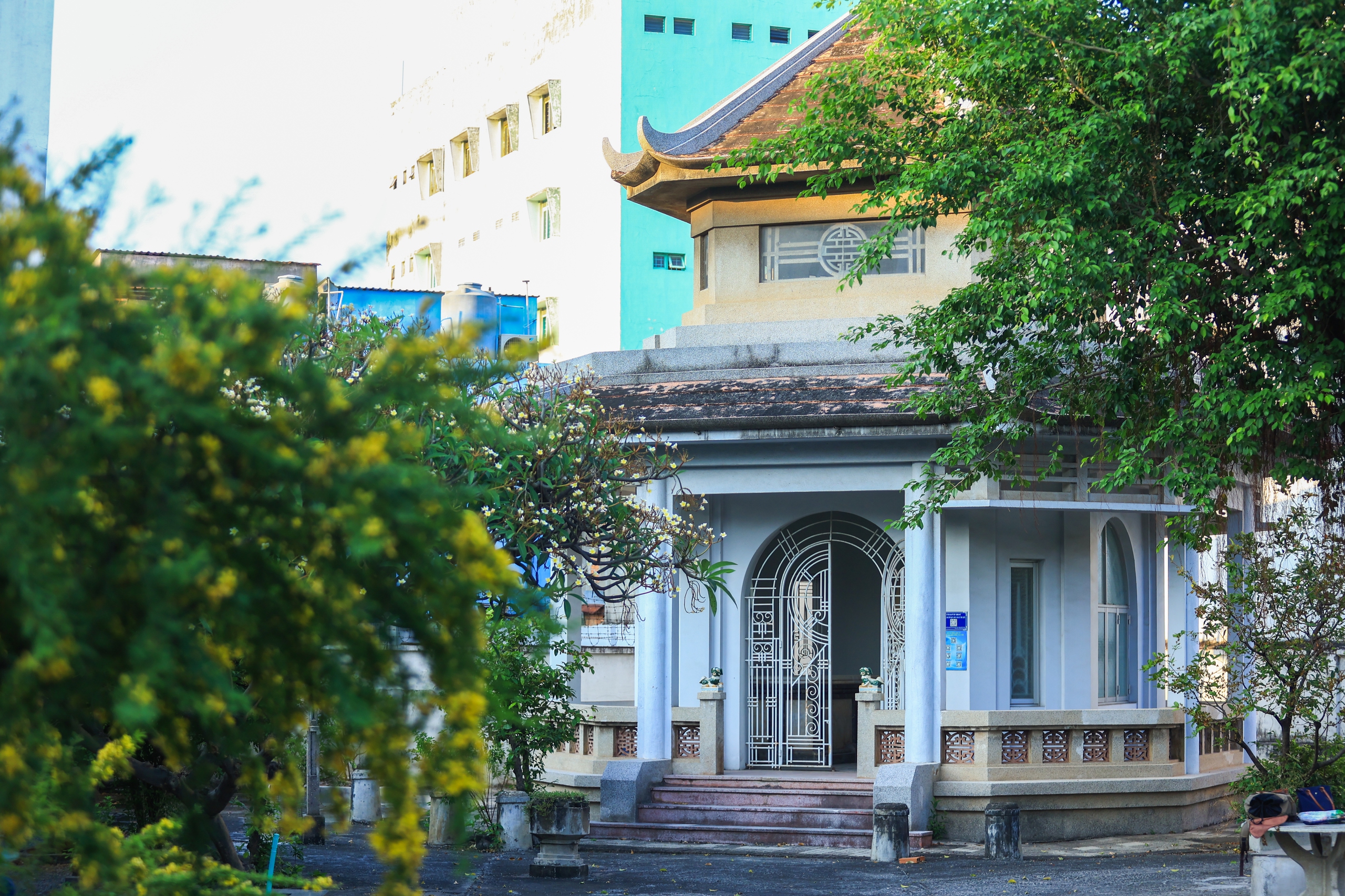 Mộ cổ b&aacute;t gi&aacute;c ở TP.HCM, dấu t&iacute;ch gia tộc gi&agrave;u thứ 3 S&agrave;i G&ograve;n xưa- Ảnh 1.