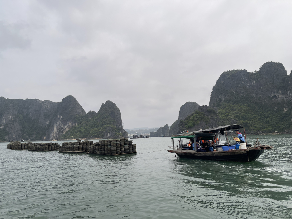 Xử phạt nuôi thủy sản trái phép trên vịnh Hạ Long  - Ảnh 1.